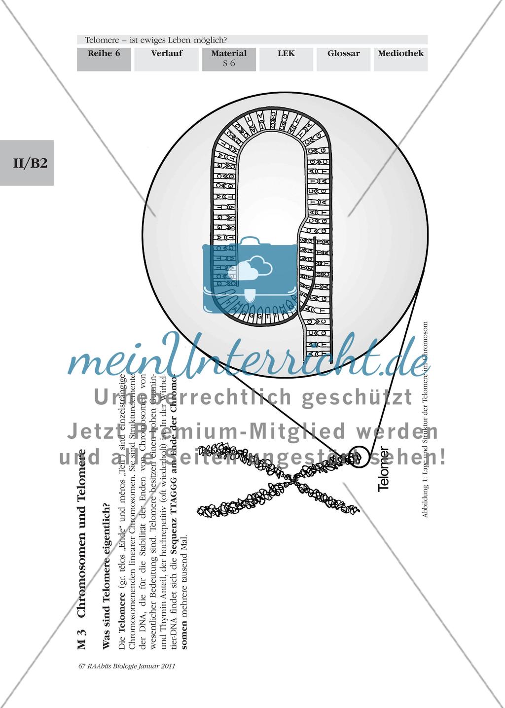 Materialien für den Einstieg und das Gruppenpuzzle Preview 5