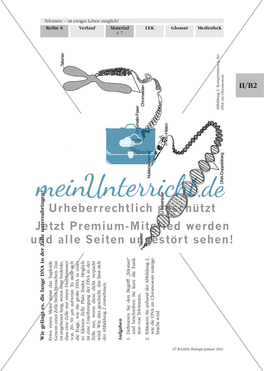 Materialien für den Einstieg und das Gruppenpuzzle Preview 6