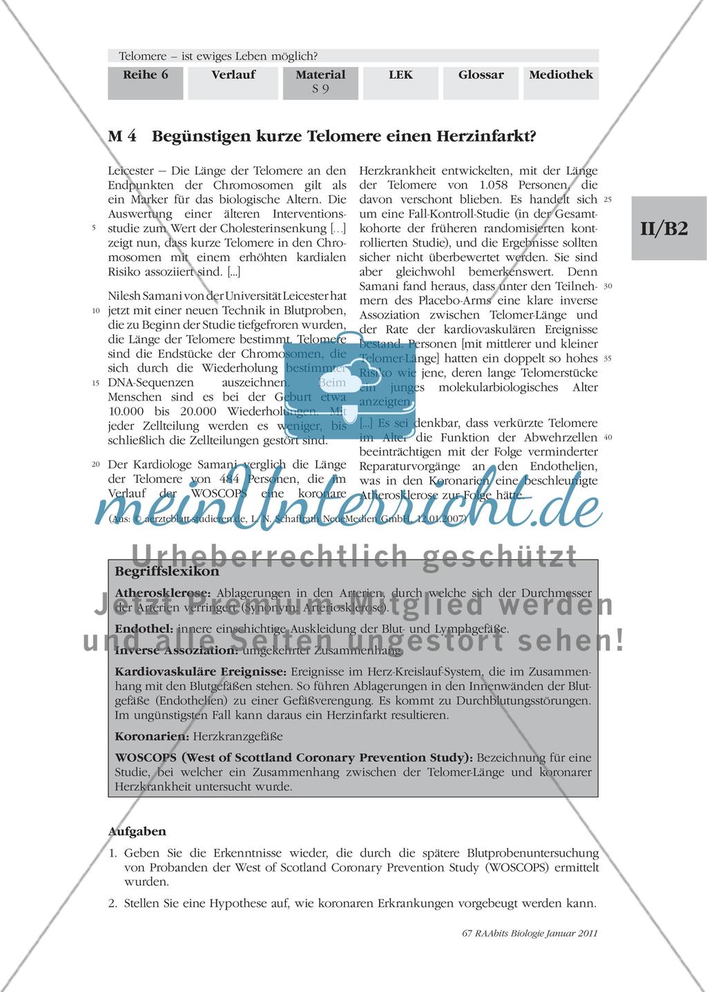 Materialien für den Einstieg und das Gruppenpuzzle Preview 8