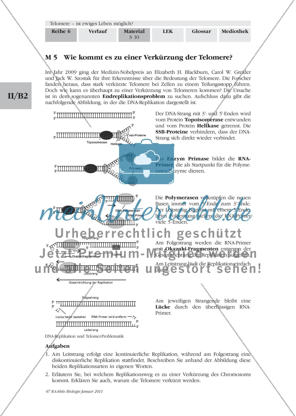 Materialien für den Einstieg und das Gruppenpuzzle Preview 9