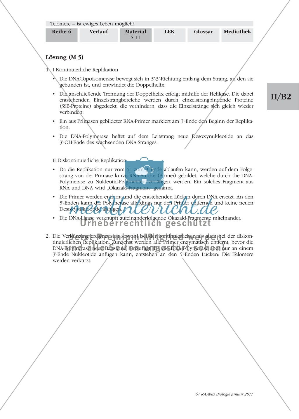 Verkürzung der Telomere: Text Preview 2