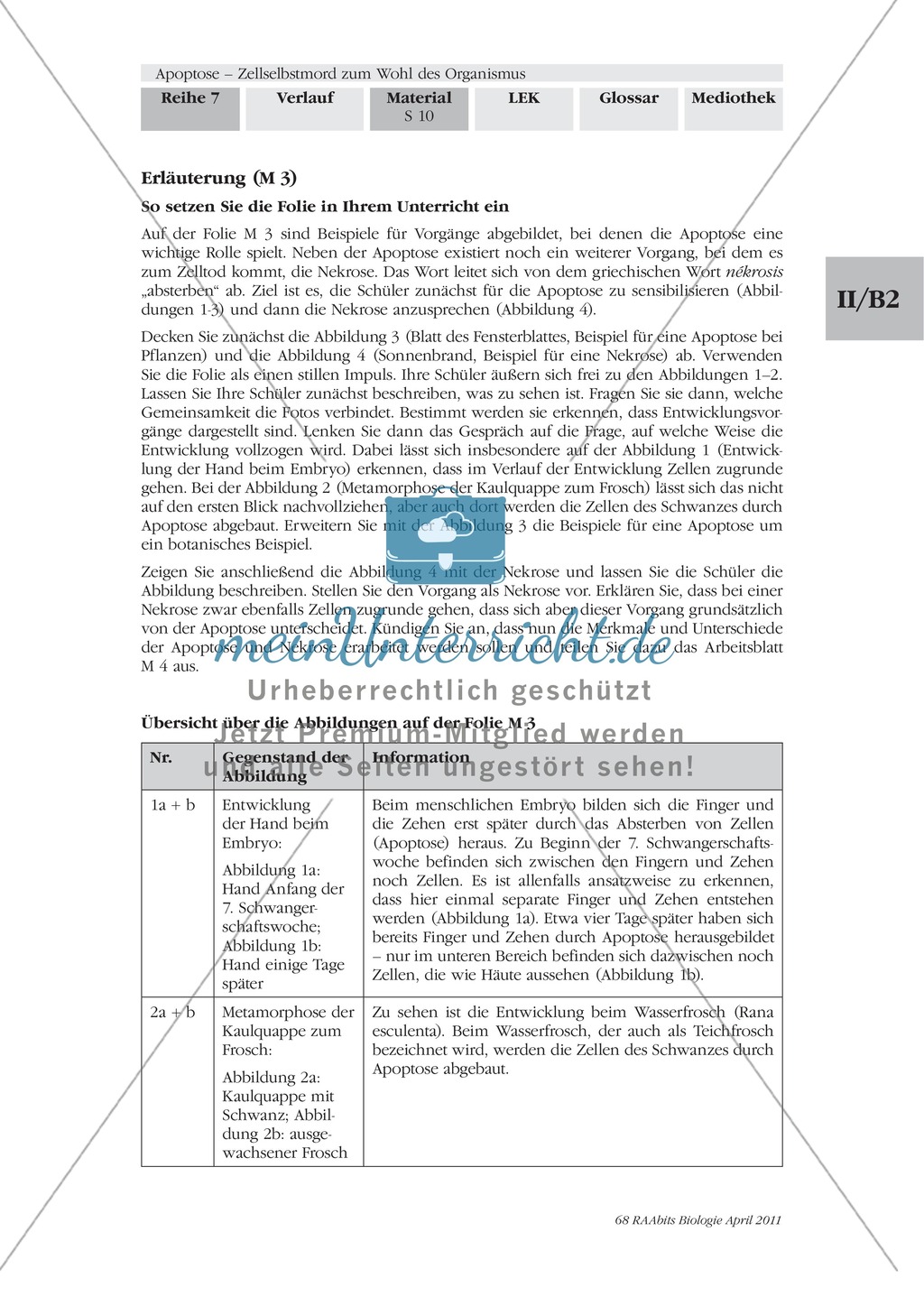 Problemorientierter Einstieg zum Thema Apoptose: Farbfolie Preview 2