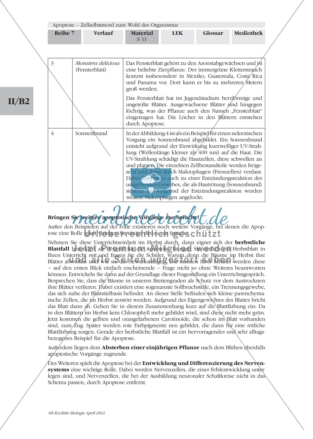 Problemorientierter Einstieg zum Thema Apoptose: Farbfolie Preview 3