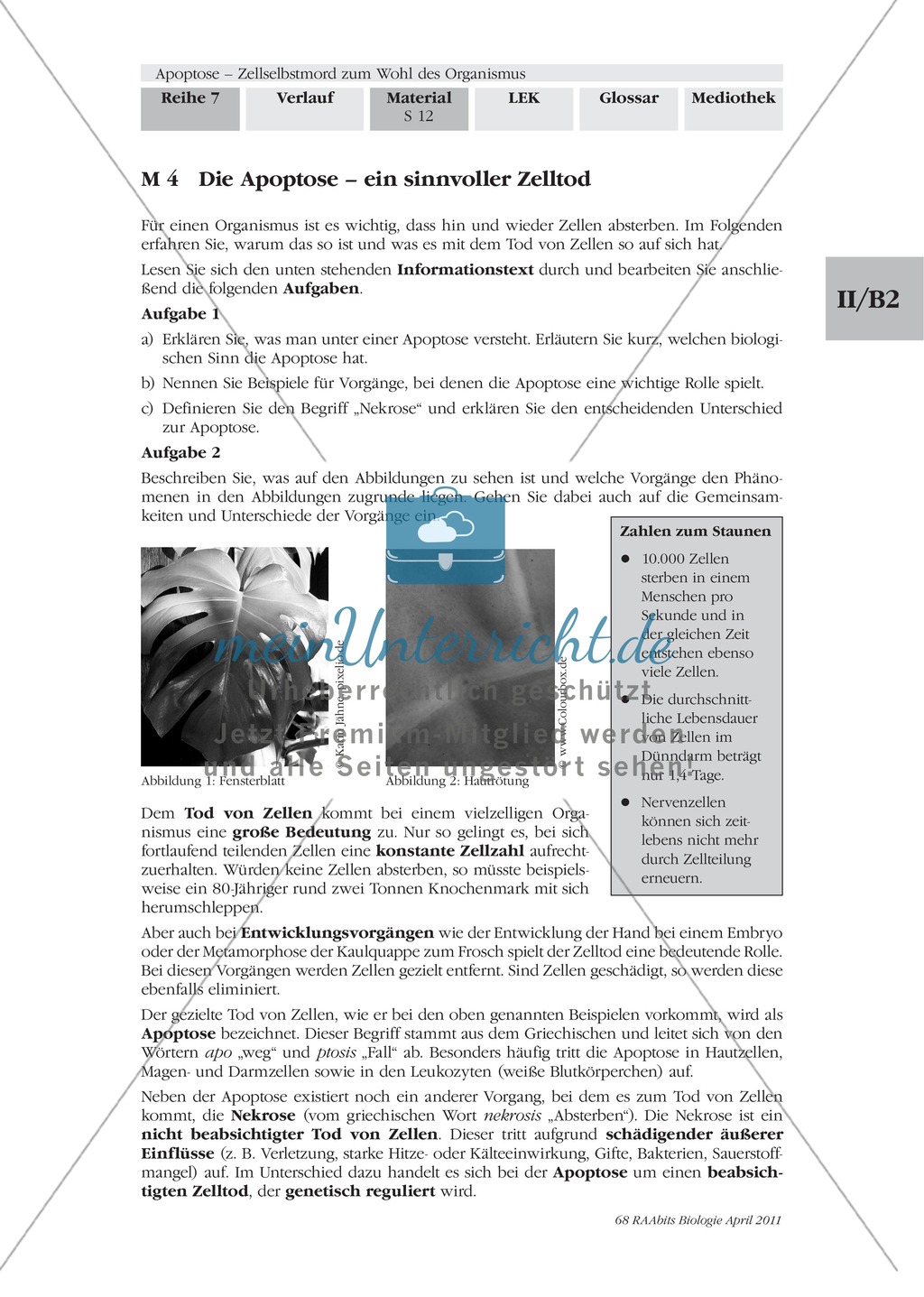 Definition, Wege und Auslöser der Apoptose: Texte, Abbildungen Preview 1
