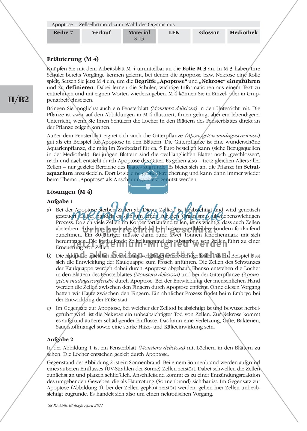 Definition, Wege und Auslöser der Apoptose: Texte, Abbildungen Preview 2