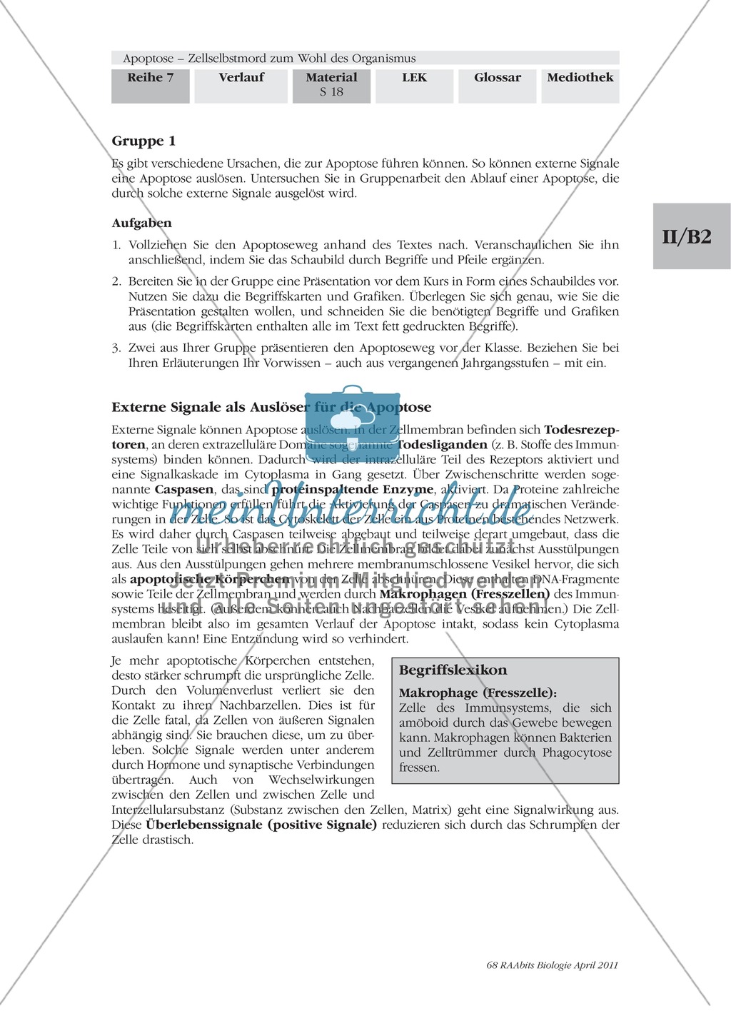 Definition, Wege und Auslöser der Apoptose: Texte, Abbildungen Preview 7