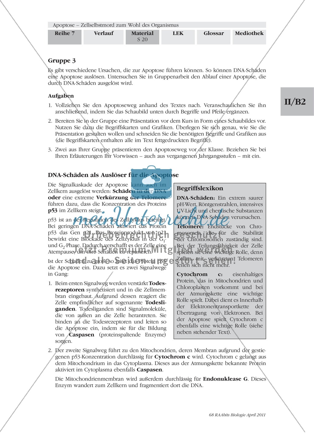 Definition, Wege und Auslöser der Apoptose: Texte, Abbildungen Preview 9