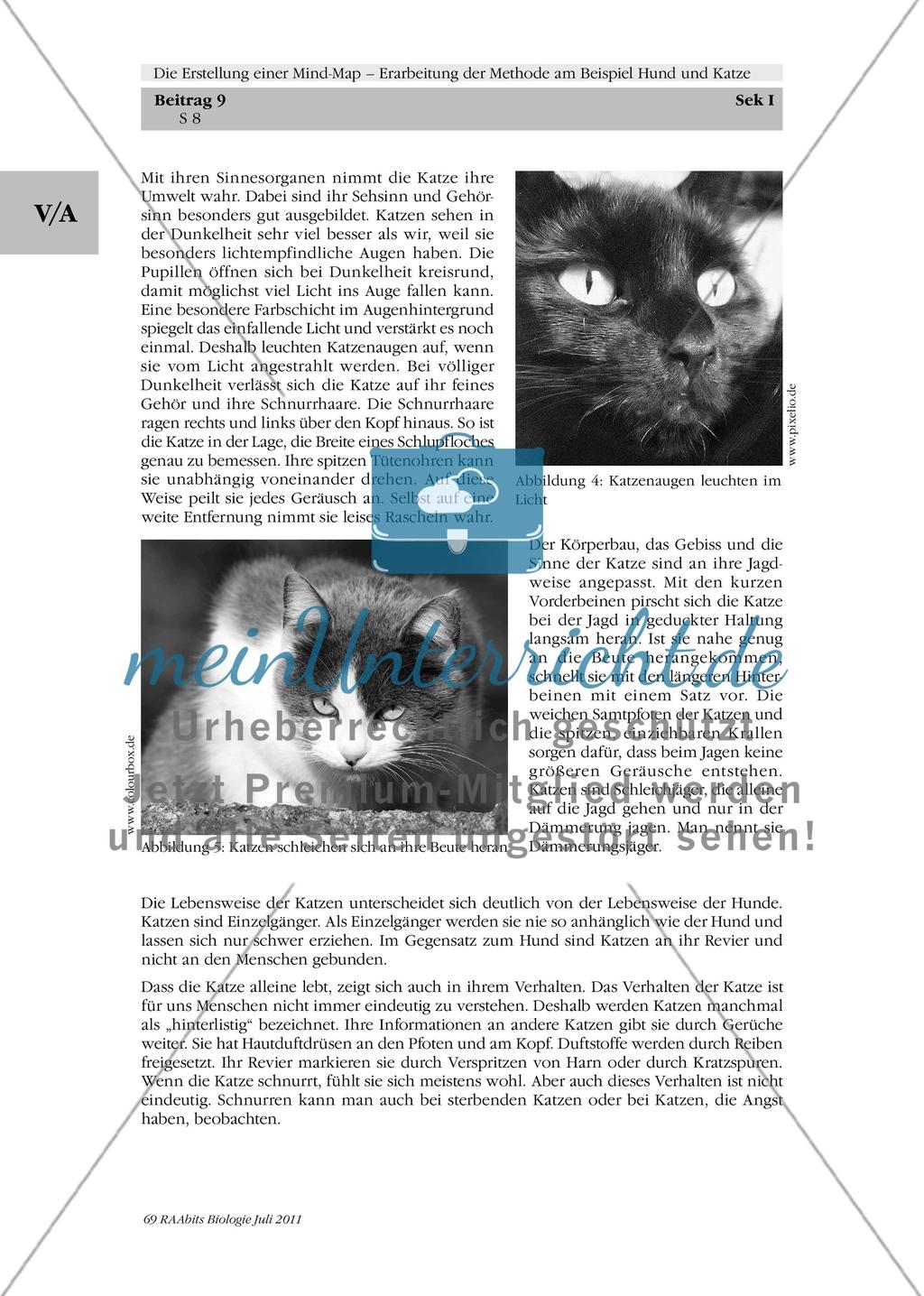 Die Erstellung einer Mind-Map – Erarbeitung der Methode am Beispiel Hund und Katze: M1-M3 Preview 3