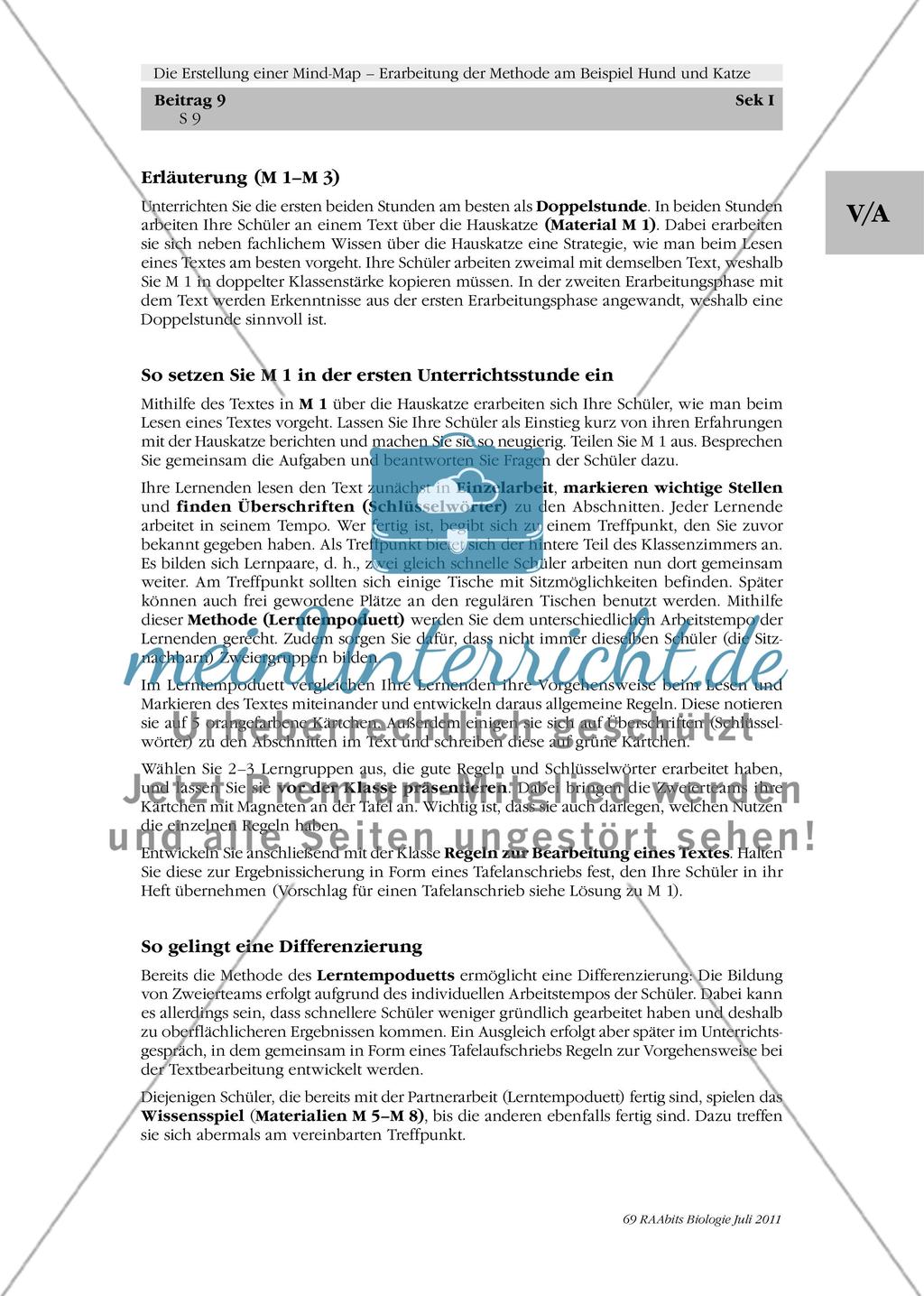 Die Erstellung einer Mind-Map – Erarbeitung der Methode am Beispiel Hund und Katze: M1-M3 Preview 4