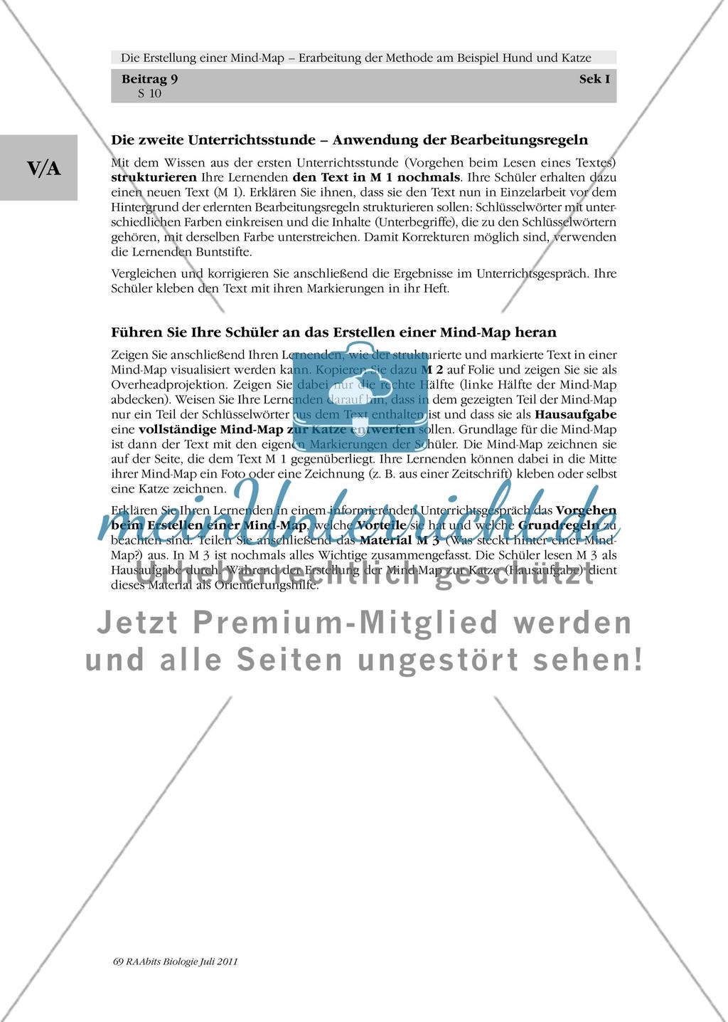 Die Erstellung einer Mind-Map – Erarbeitung der Methode am Beispiel Hund und Katze: M1-M3 Preview 5