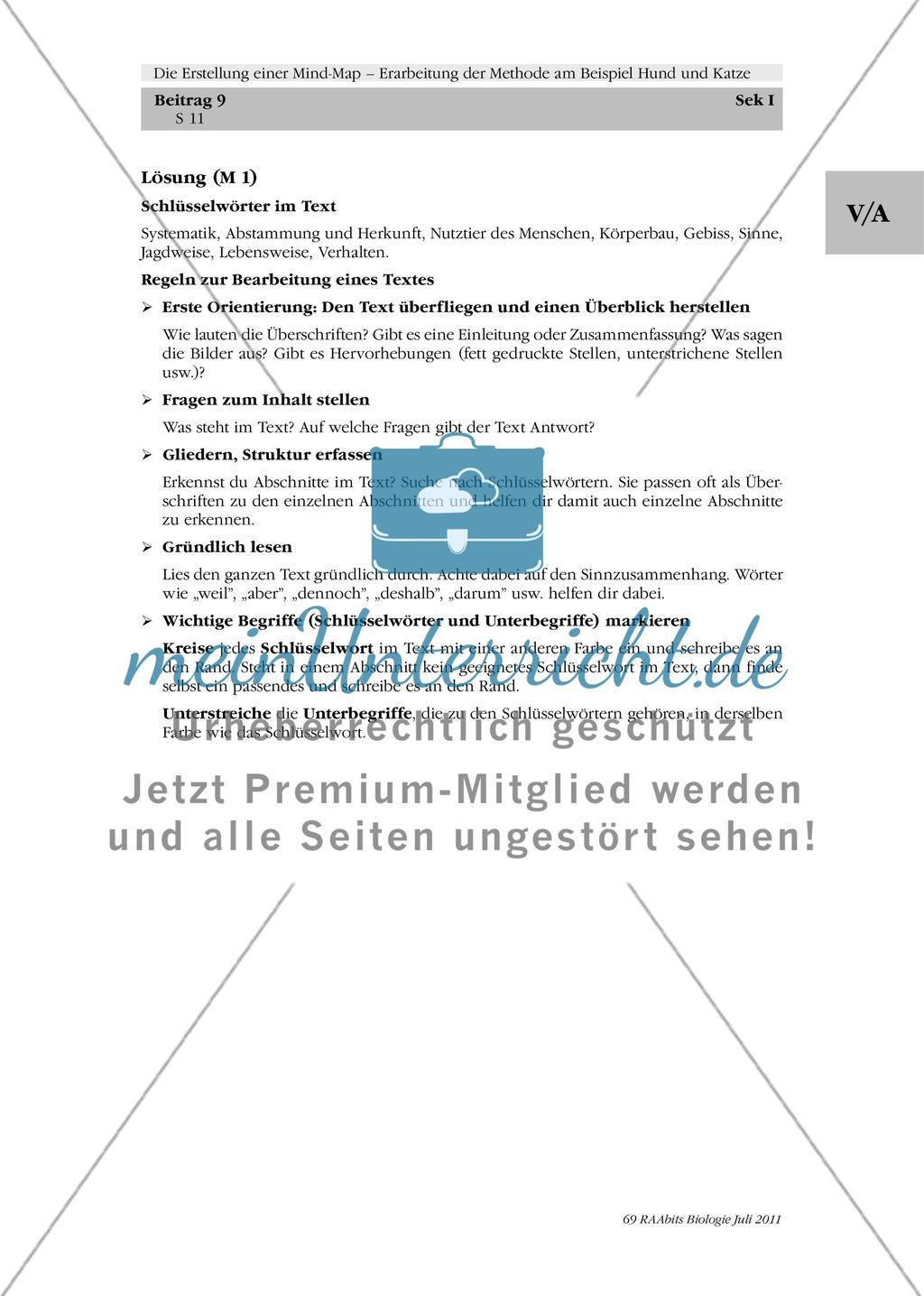 Die Erstellung einer Mind-Map – Erarbeitung der Methode am Beispiel Hund und Katze: M1-M3 Preview 6