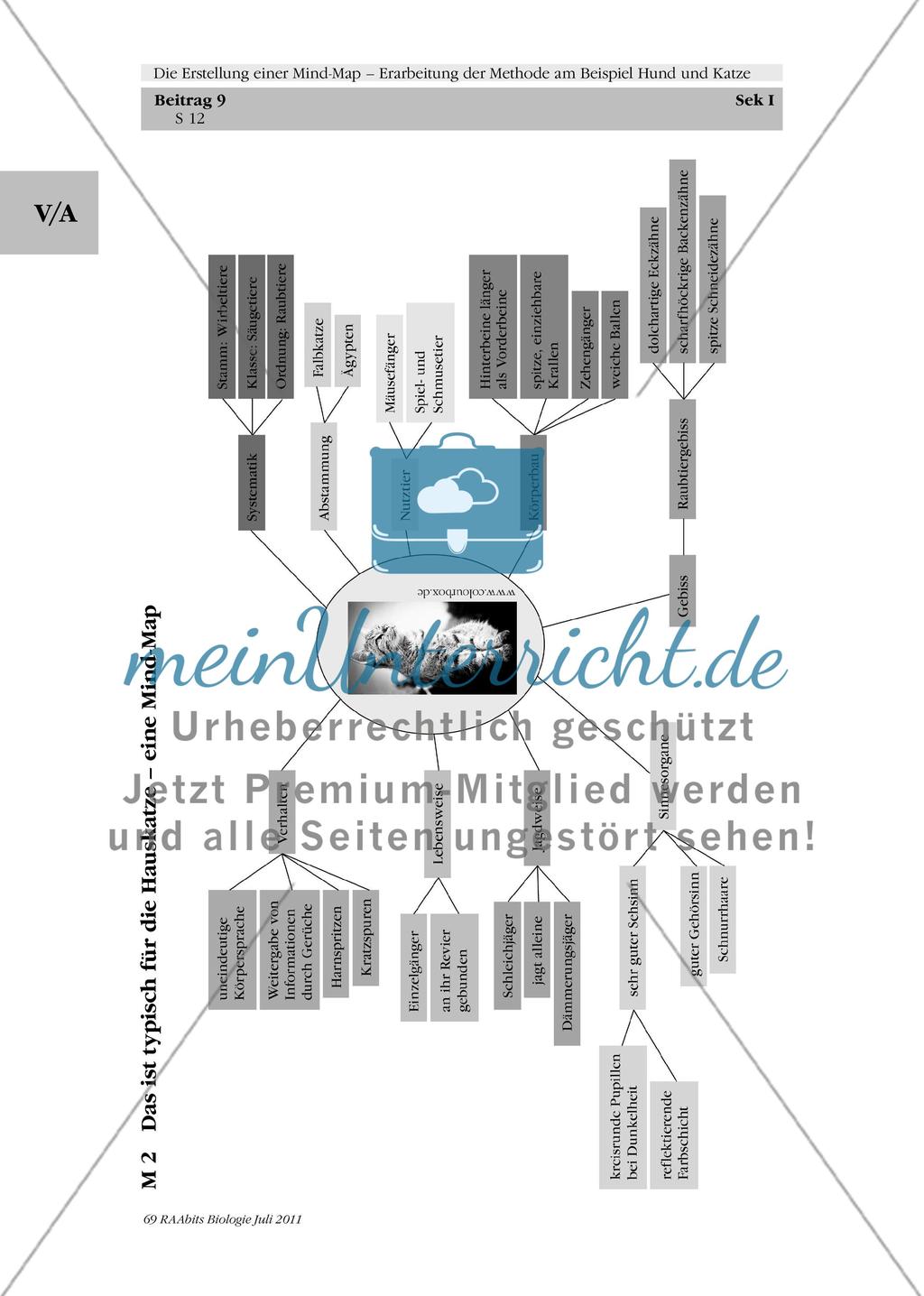 Die Erstellung einer Mind-Map – Erarbeitung der Methode am Beispiel Hund und Katze: M1-M3 Preview 7