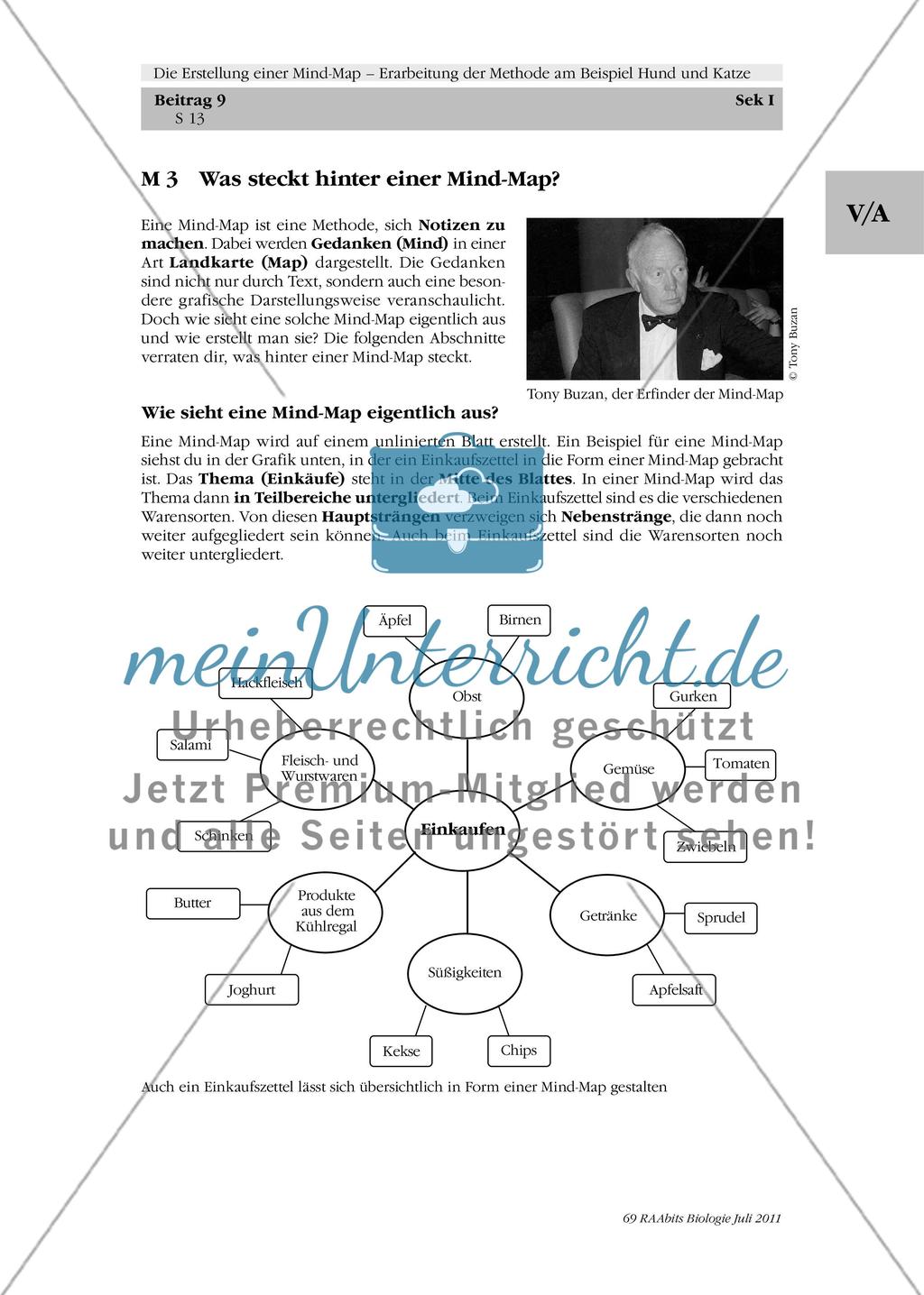 Die Erstellung einer Mind-Map – Erarbeitung der Methode am Beispiel Hund und Katze: M1-M3 Preview 8