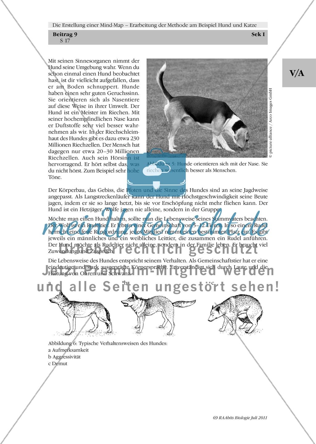 Der Hund – ein Raubtier, das vom Wolf abstammt Preview 3