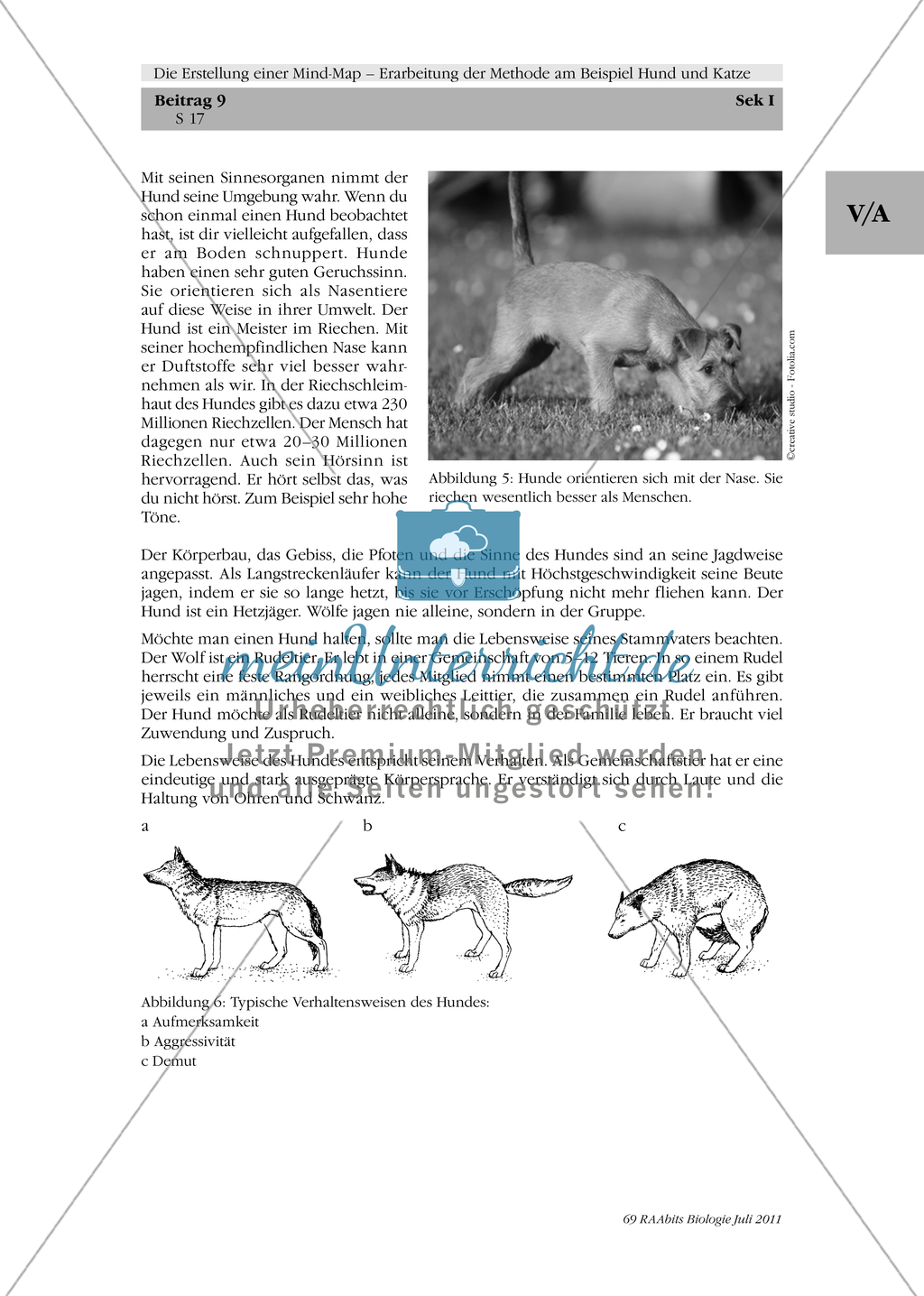 Methoden zu Erstellung einer MindMap Informationstext zum Hund in