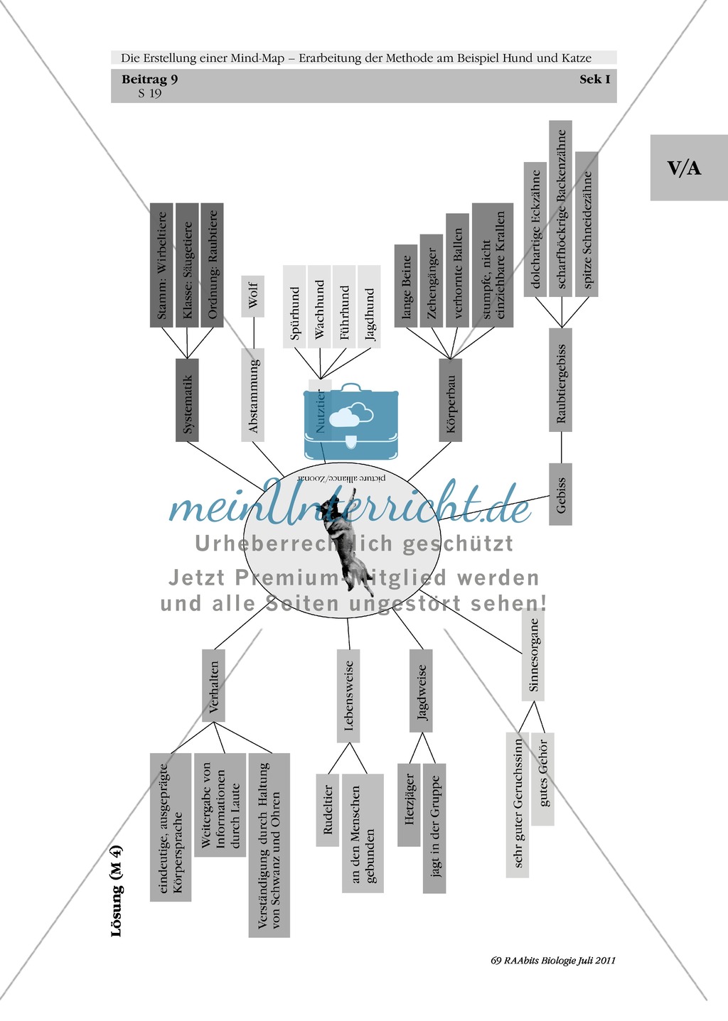 Methoden zu Erstellung einer MindMap Informationstext zum Hund in
