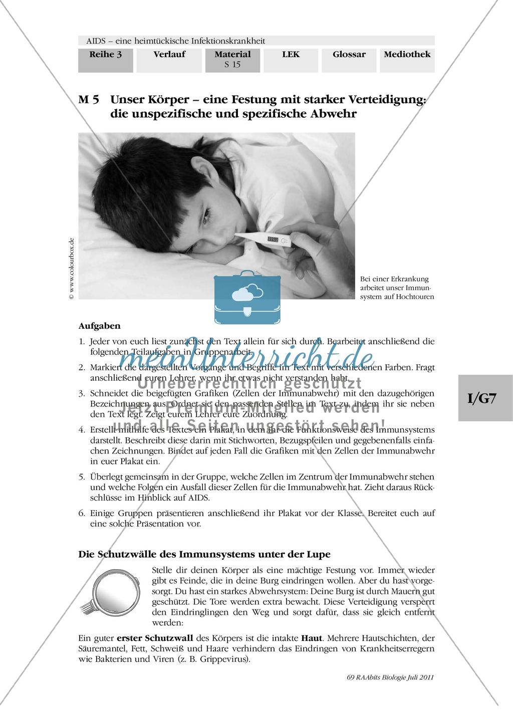 Immunabwehr: Gruppenarbeit, Text, Plakaterstellung Preview 1