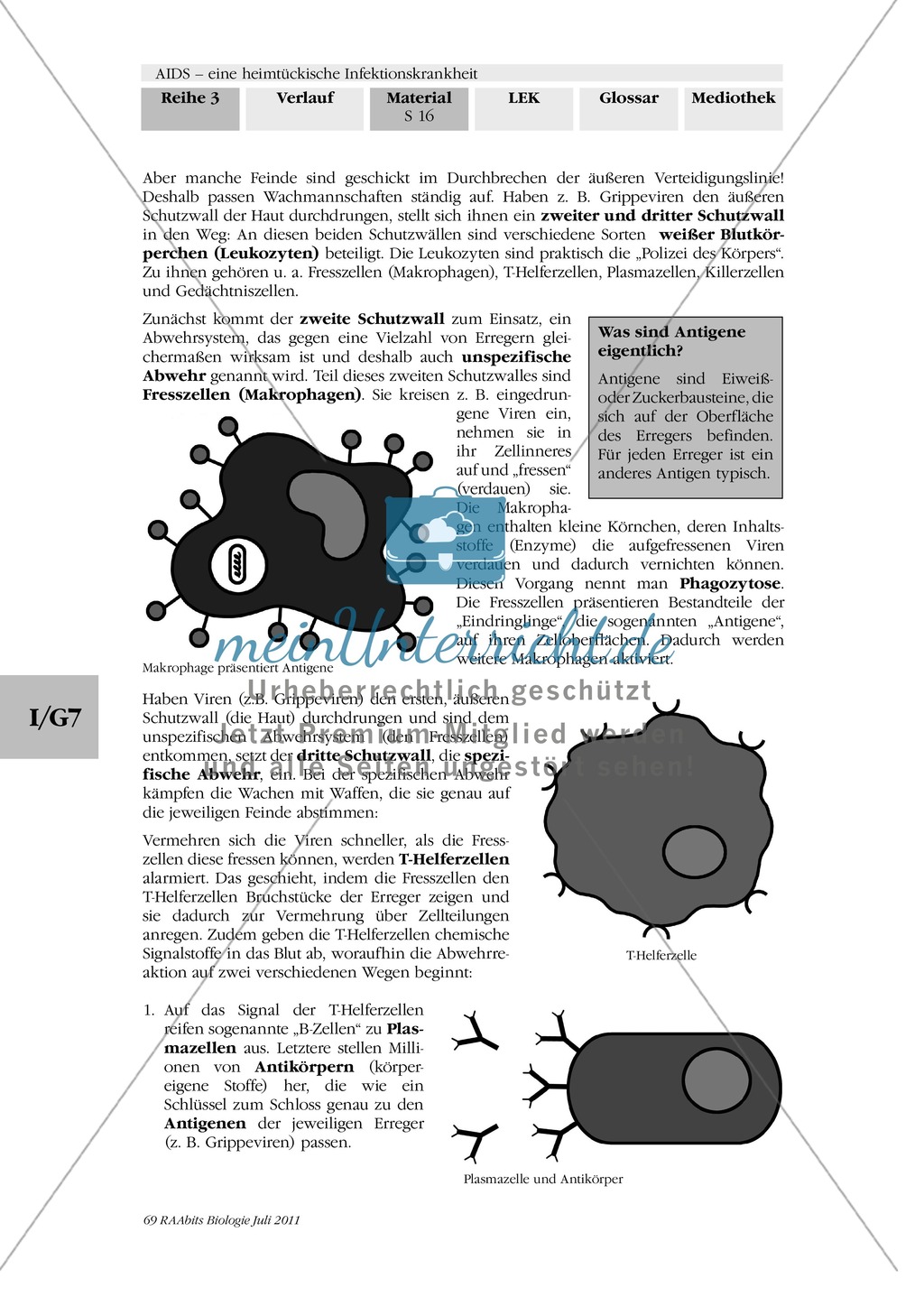 Immunabwehr: Gruppenarbeit, Text, Plakaterstellung Preview 2
