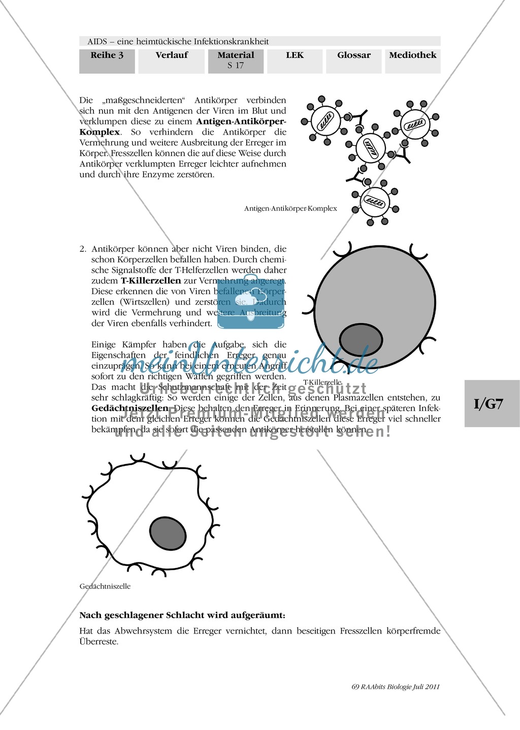 Immunabwehr: Gruppenarbeit, Text, Plakaterstellung Preview 3