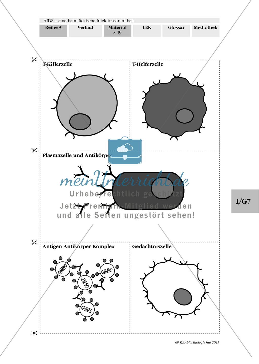 Immunabwehr: Gruppenarbeit, Text, Plakaterstellung Preview 5