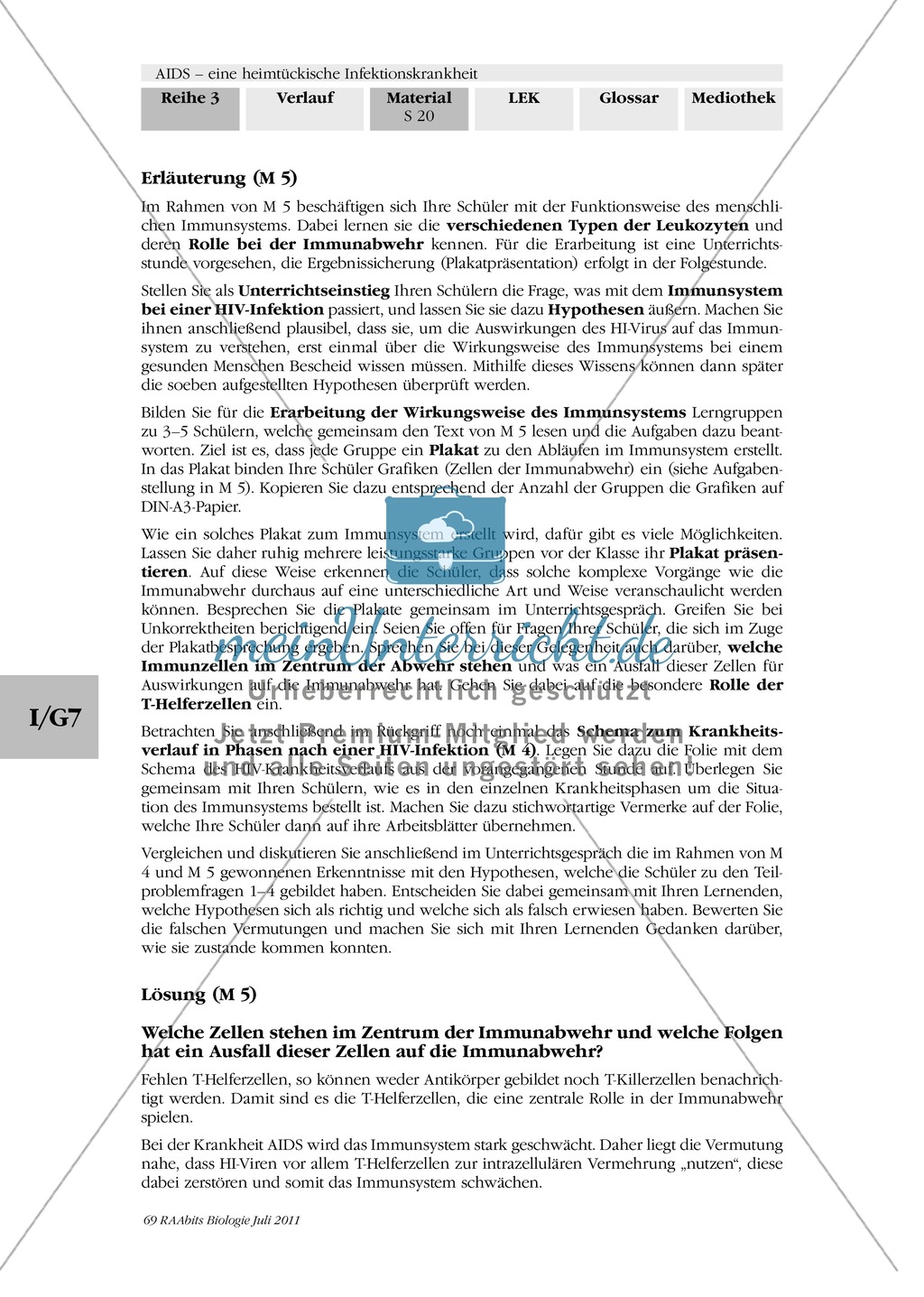 Immunabwehr: Gruppenarbeit, Text, Plakaterstellung Preview 6