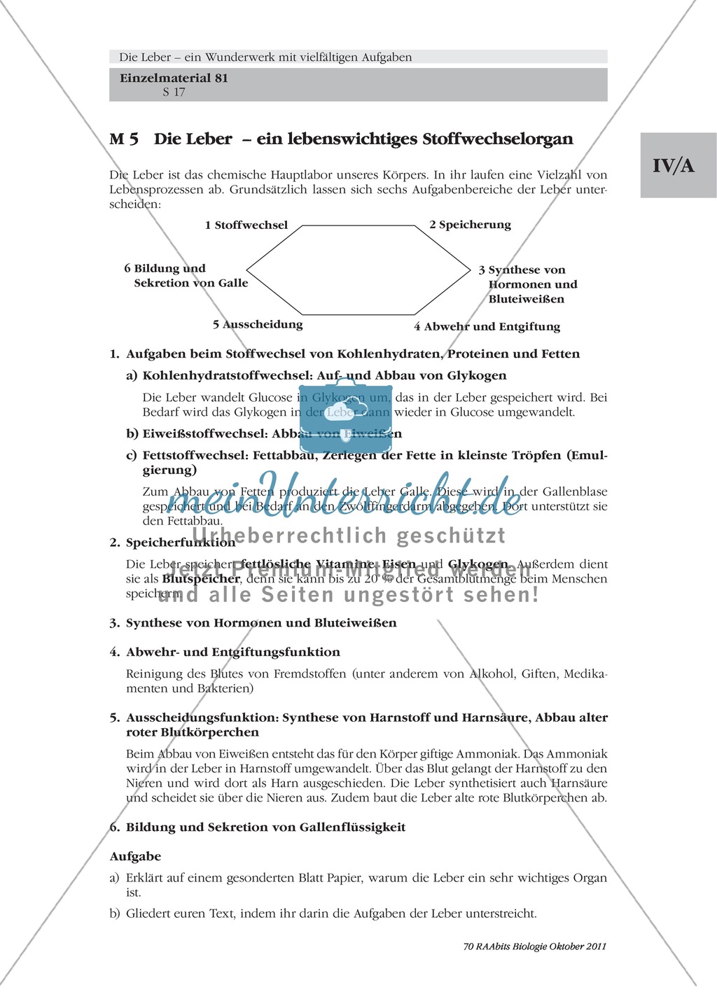 Leber: Stoffwechselorgan, Text Preview 1
