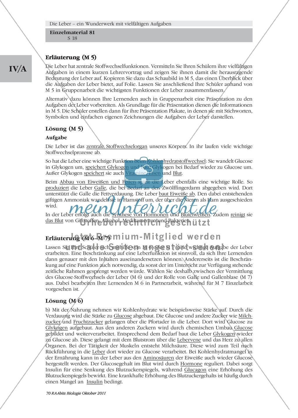 Leber: Stoffwechselorgan, Text Preview 2
