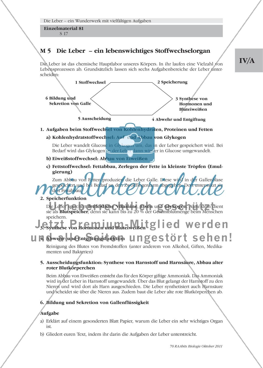 Die Leber – ein lebenswichtiges Stoffwechselorgan / Der Glucose-Stoffwechsel der Leber / Was hat es mit der Gallenflüssigkeit auf sich? Preview 1