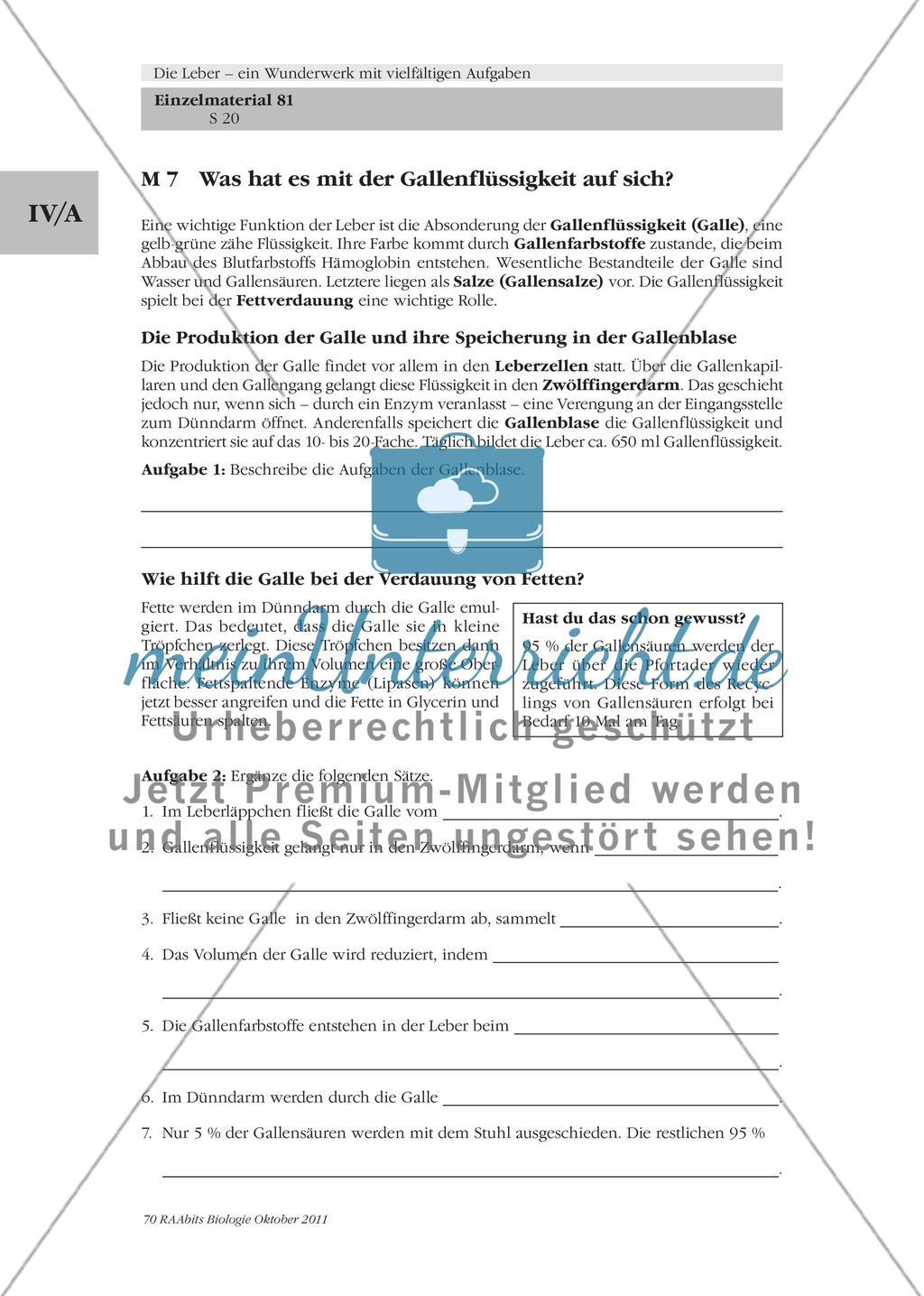 Die Leber – ein lebenswichtiges Stoffwechselorgan / Der Glucose-Stoffwechsel der Leber / Was hat es mit der Gallenflüssigkeit auf sich? Preview 4