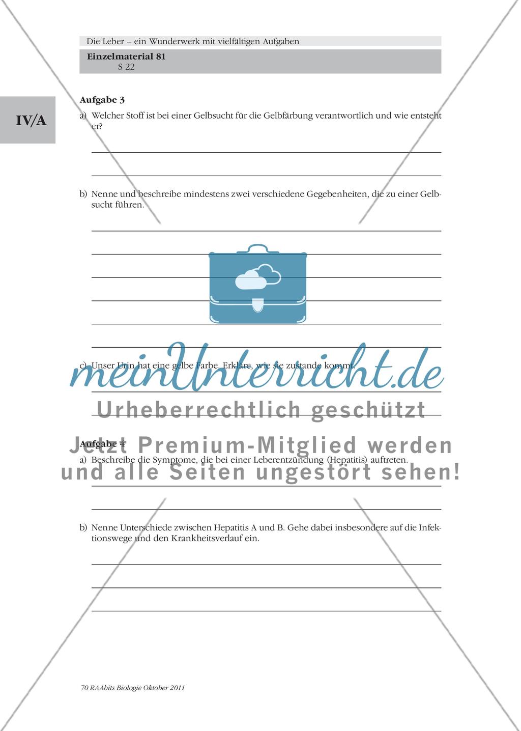 Die Leber – ein lebenswichtiges Stoffwechselorgan / Der Glucose-Stoffwechsel der Leber / Was hat es mit der Gallenflüssigkeit auf sich? Preview 6