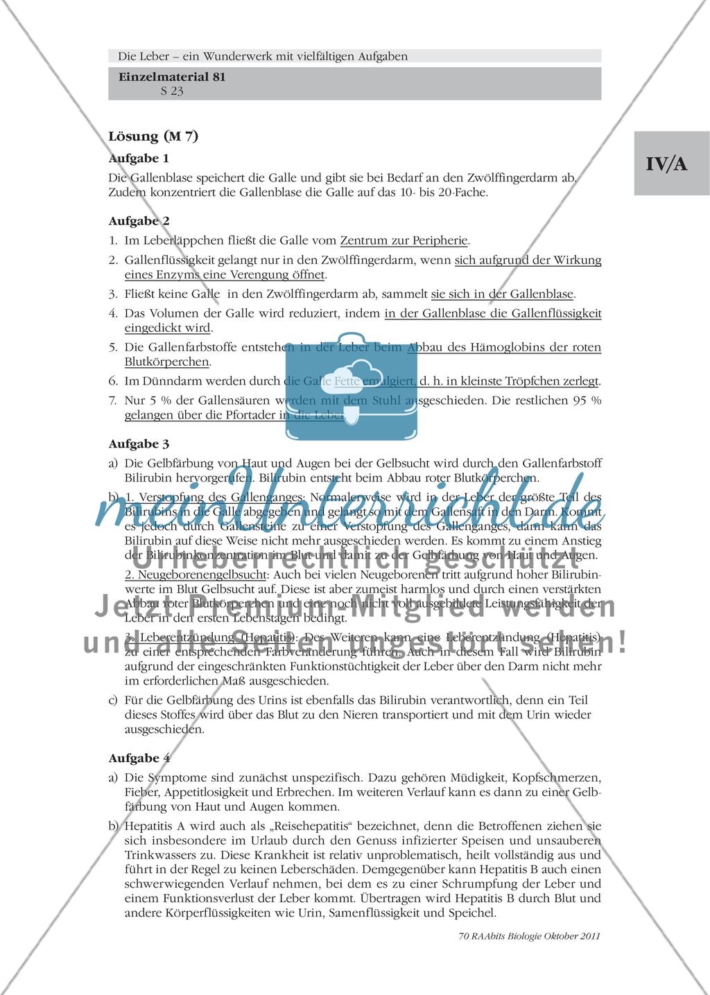 Die Leber – ein lebenswichtiges Stoffwechselorgan / Der Glucose-Stoffwechsel der Leber / Was hat es mit der Gallenflüssigkeit auf sich? Preview 7