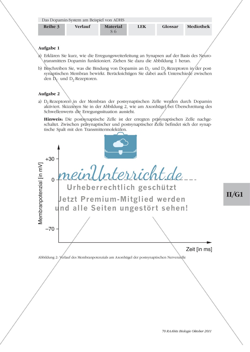 ADHS: Wirkweise von Dopamin: Text Preview 2