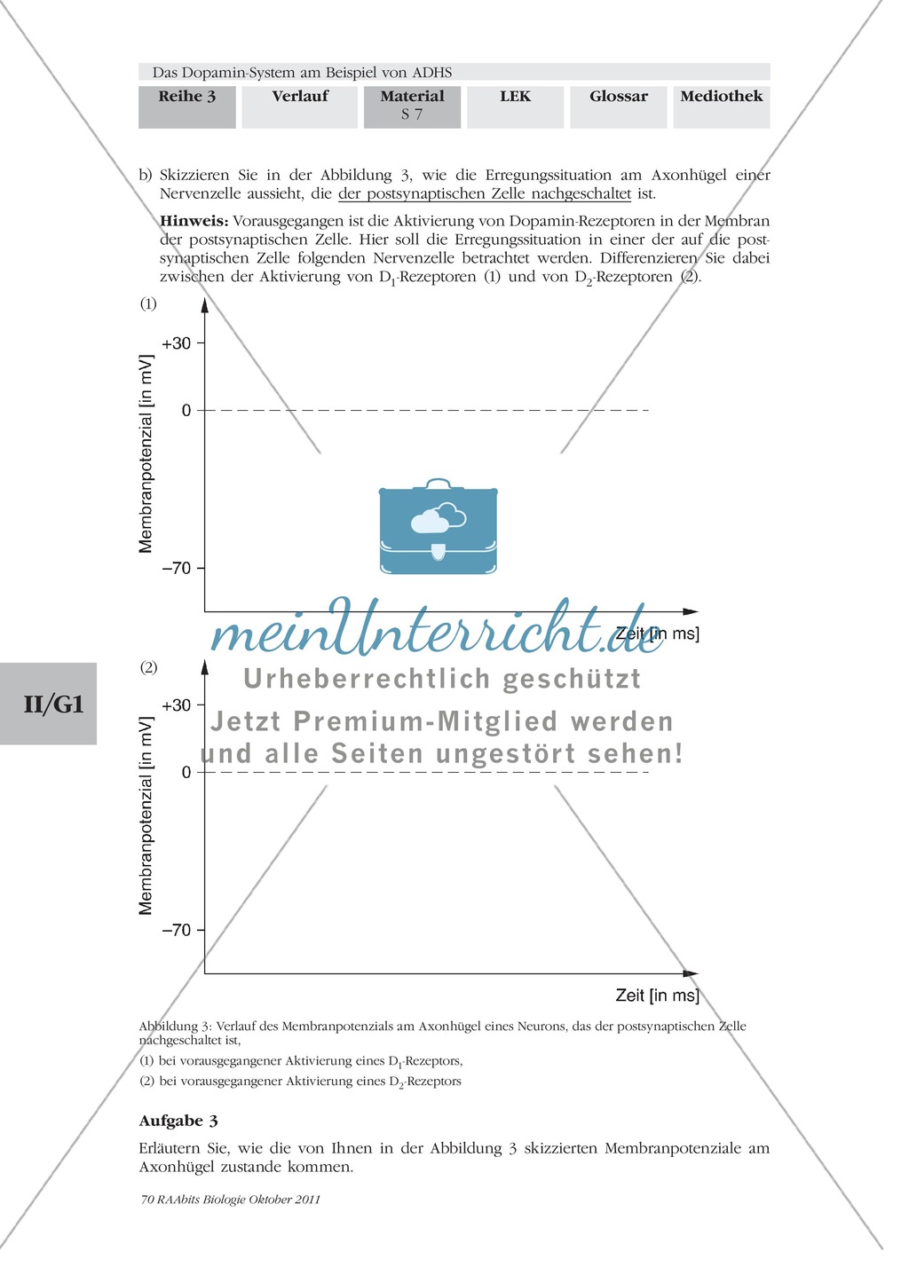 ADHS: Wirkweise von Dopamin: Text Preview 3