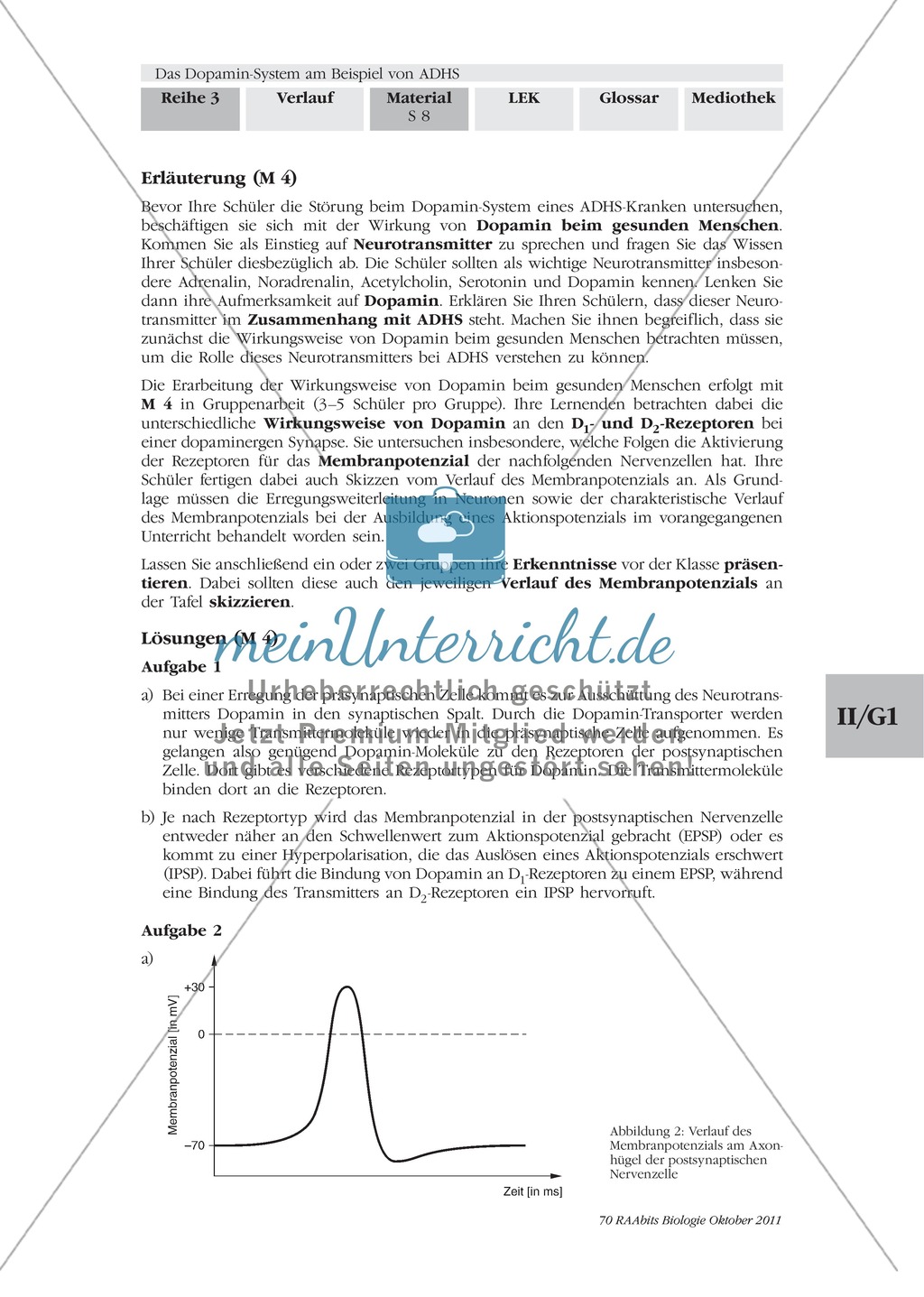 ADHS: Wirkweise von Dopamin: Text Preview 4