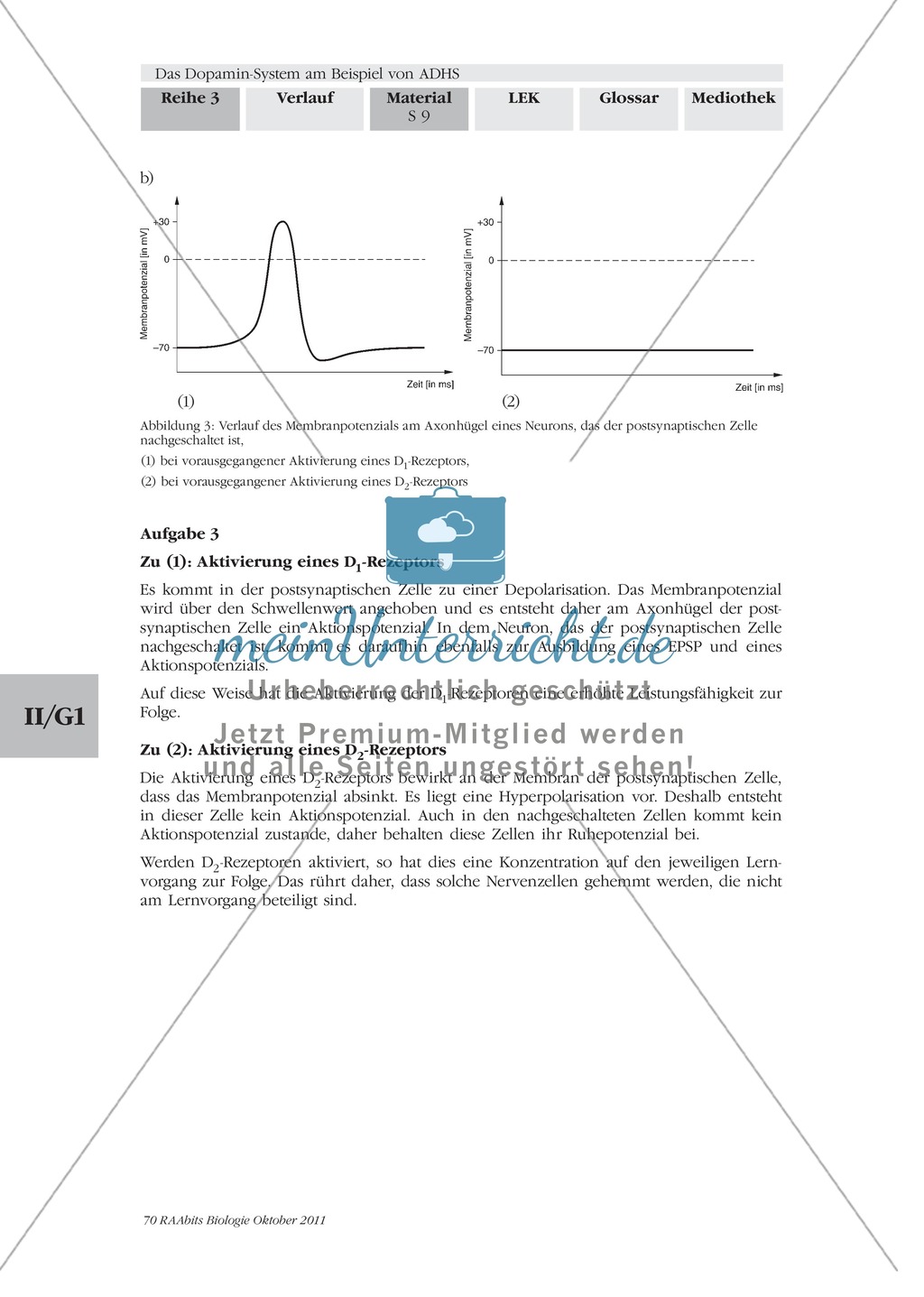 ADHS: Wirkweise von Dopamin: Text Preview 5