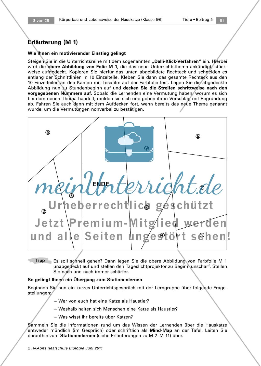 Einstieg Preview 2
