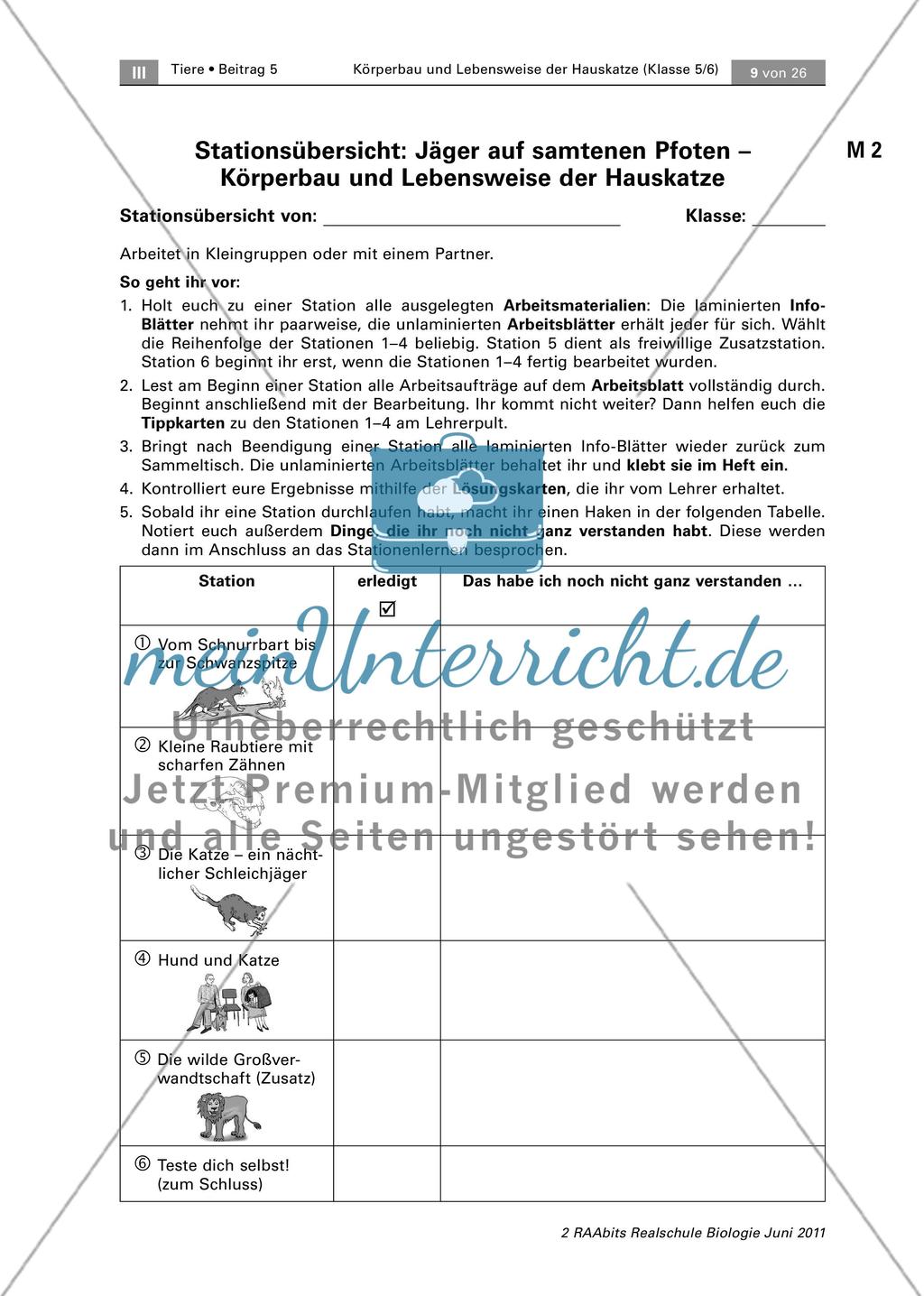 Einstieg Preview 3
