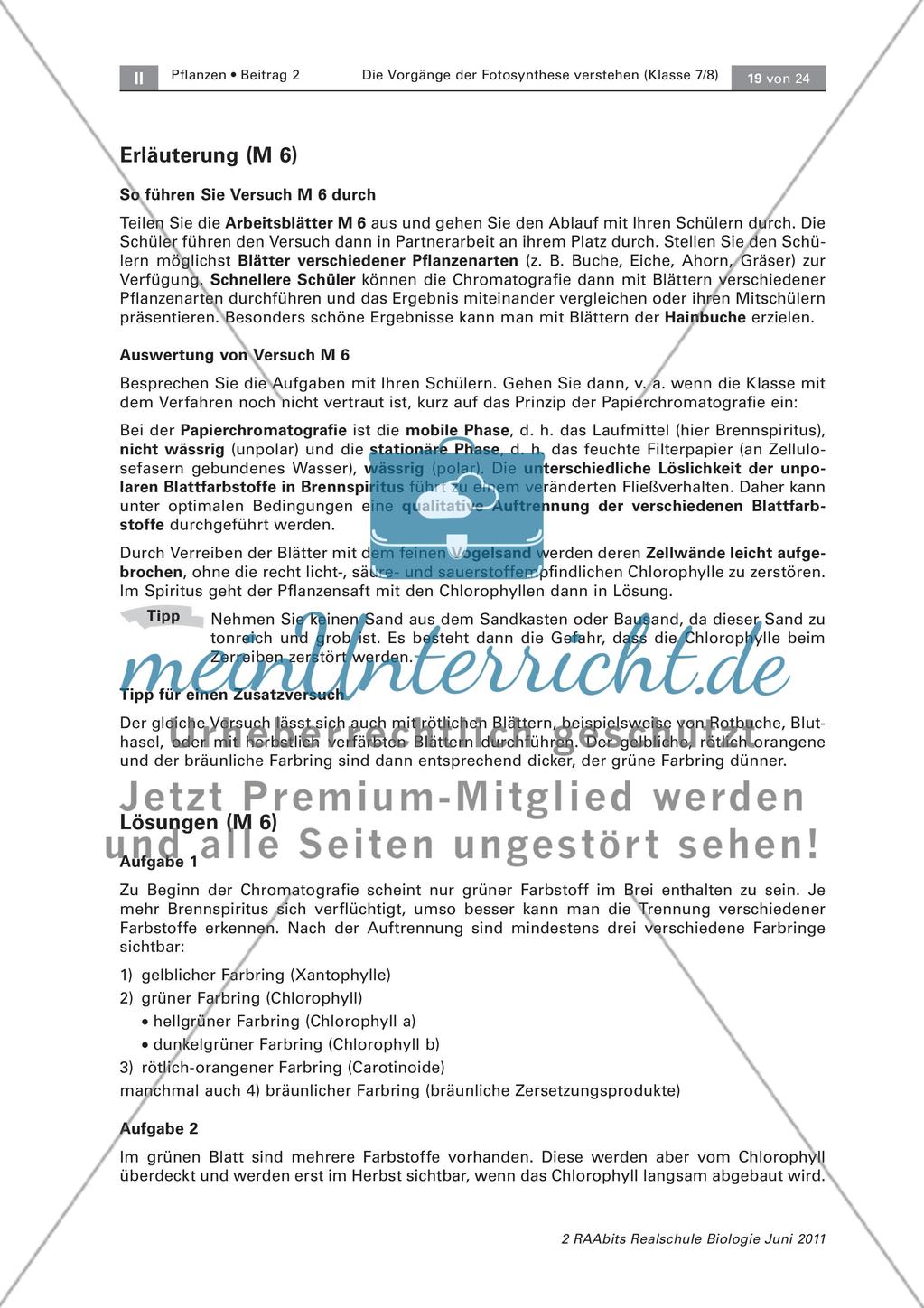 Ein Laubblatt genauer betrachtet Preview 4