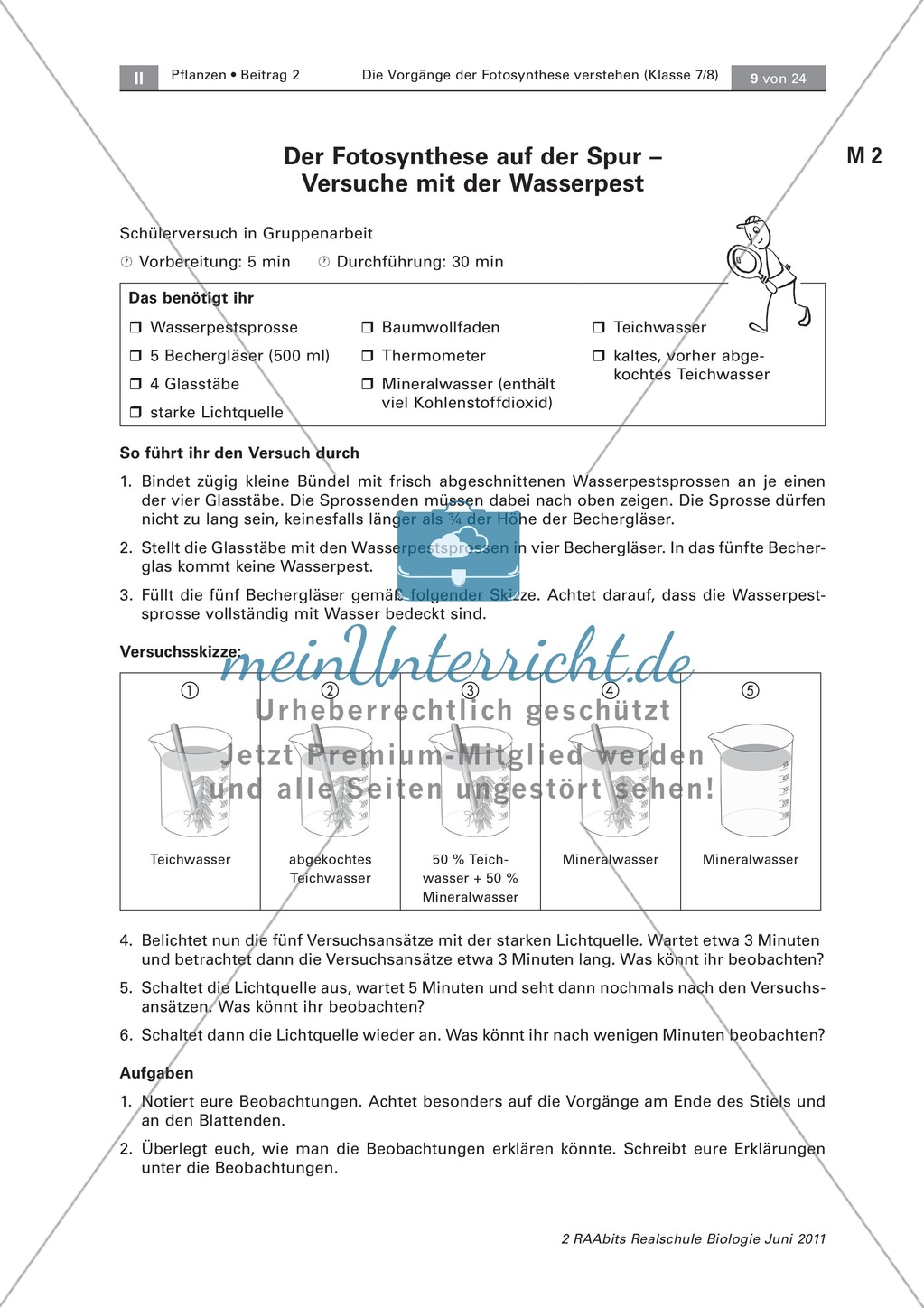 Die Vorgänge der Fotosynthese: Querschnitt eines Laubblattes + Versuche mit der Wasserpest Preview 2