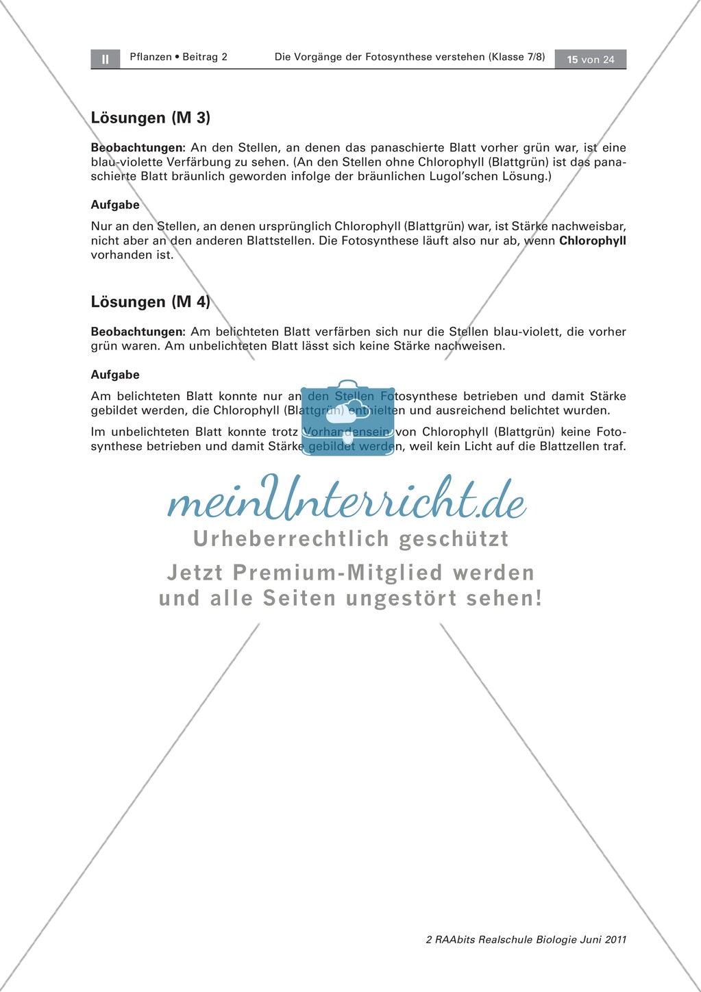 Die Vorgänge der Fotosynthese: Stärkenachweis in panaschierten + belichteten + unbelichteten Blättern Preview 4