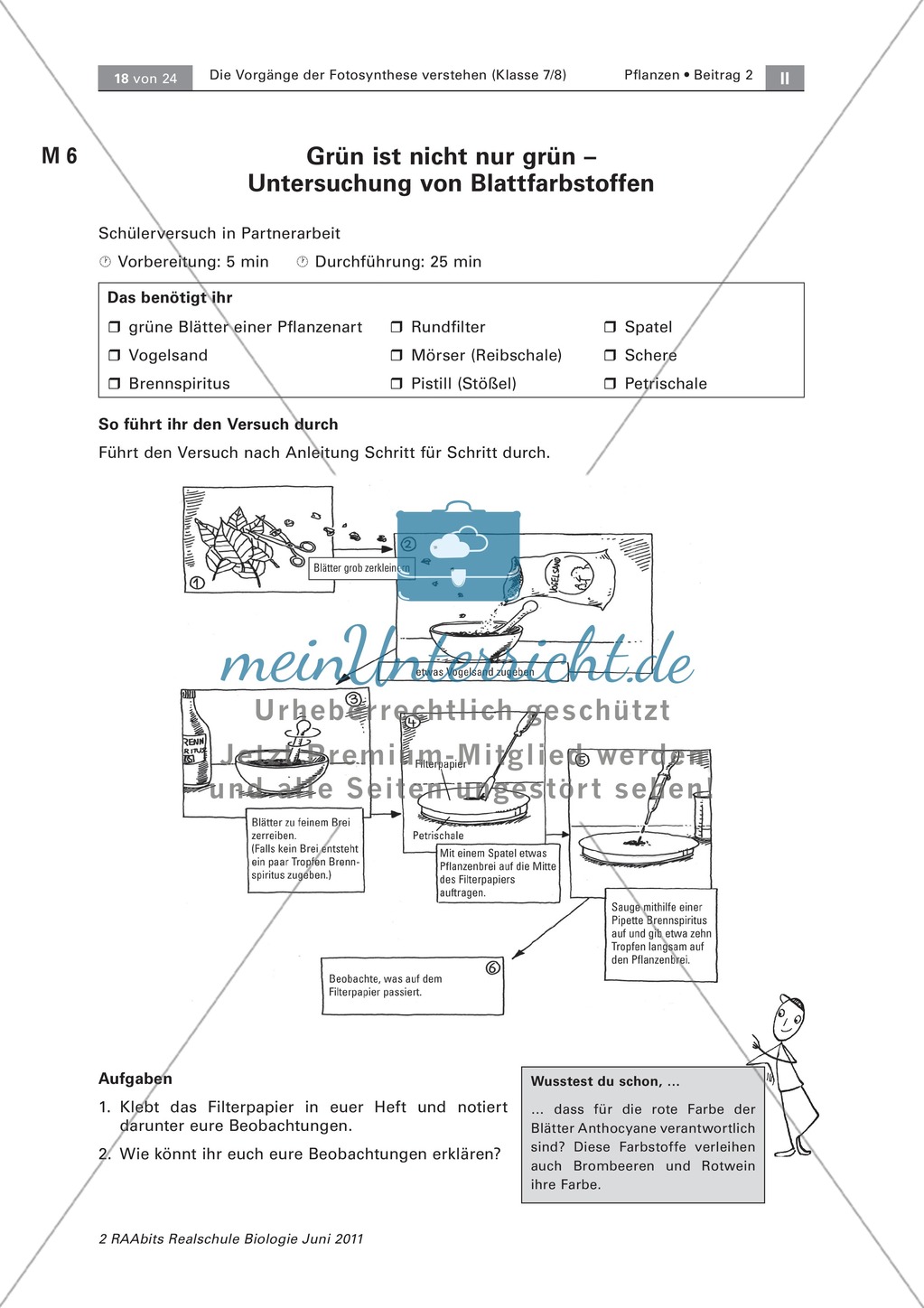 Die Vorgänge der Fotosynthese: Mikroskopieren von Laubblättern + Untersuchung von Blattfarbstoffen Preview 3