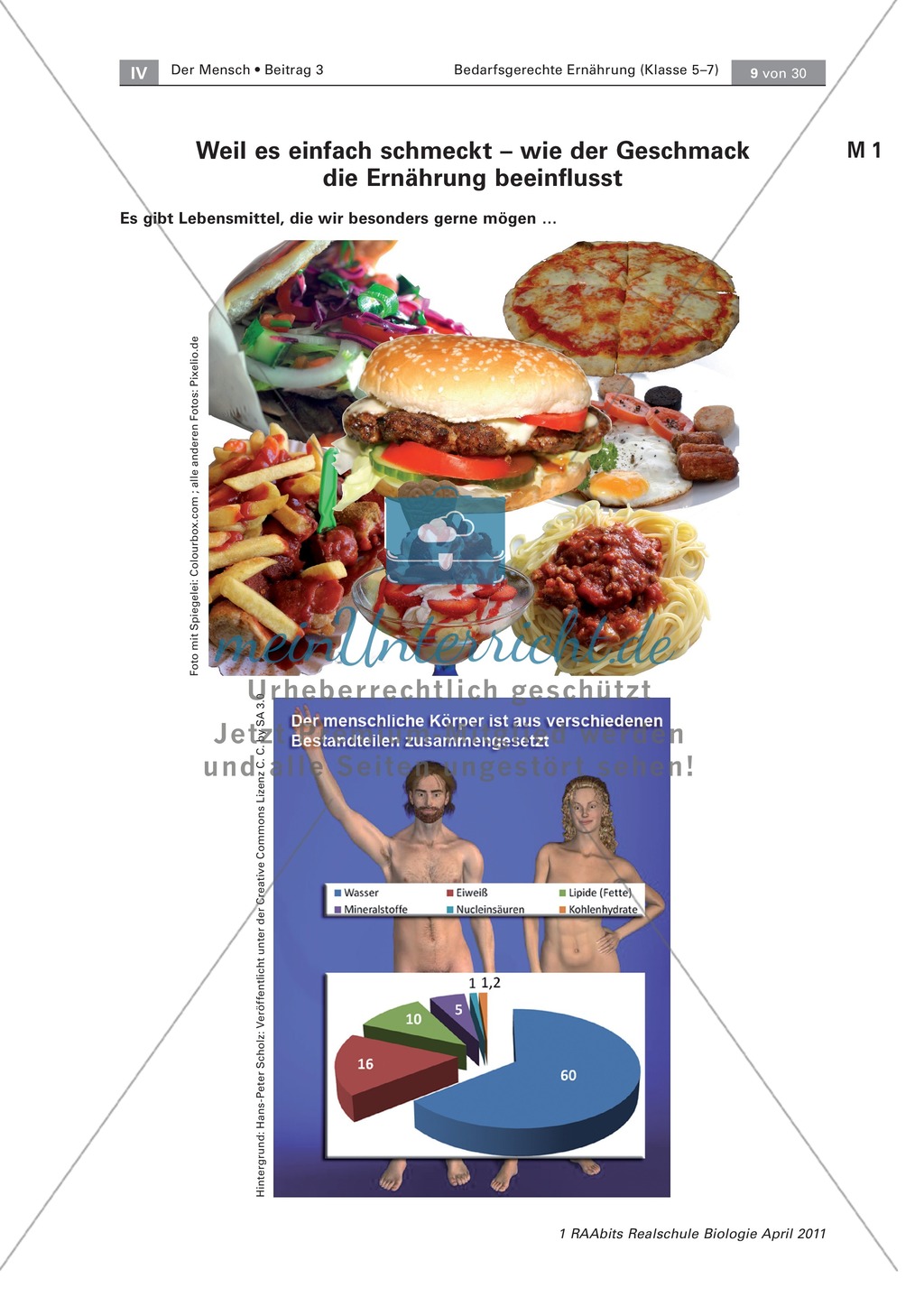 Beeinflussung der Ernährung durch den Geschmack: Geschmackstest Hamburger, Text Preview 1