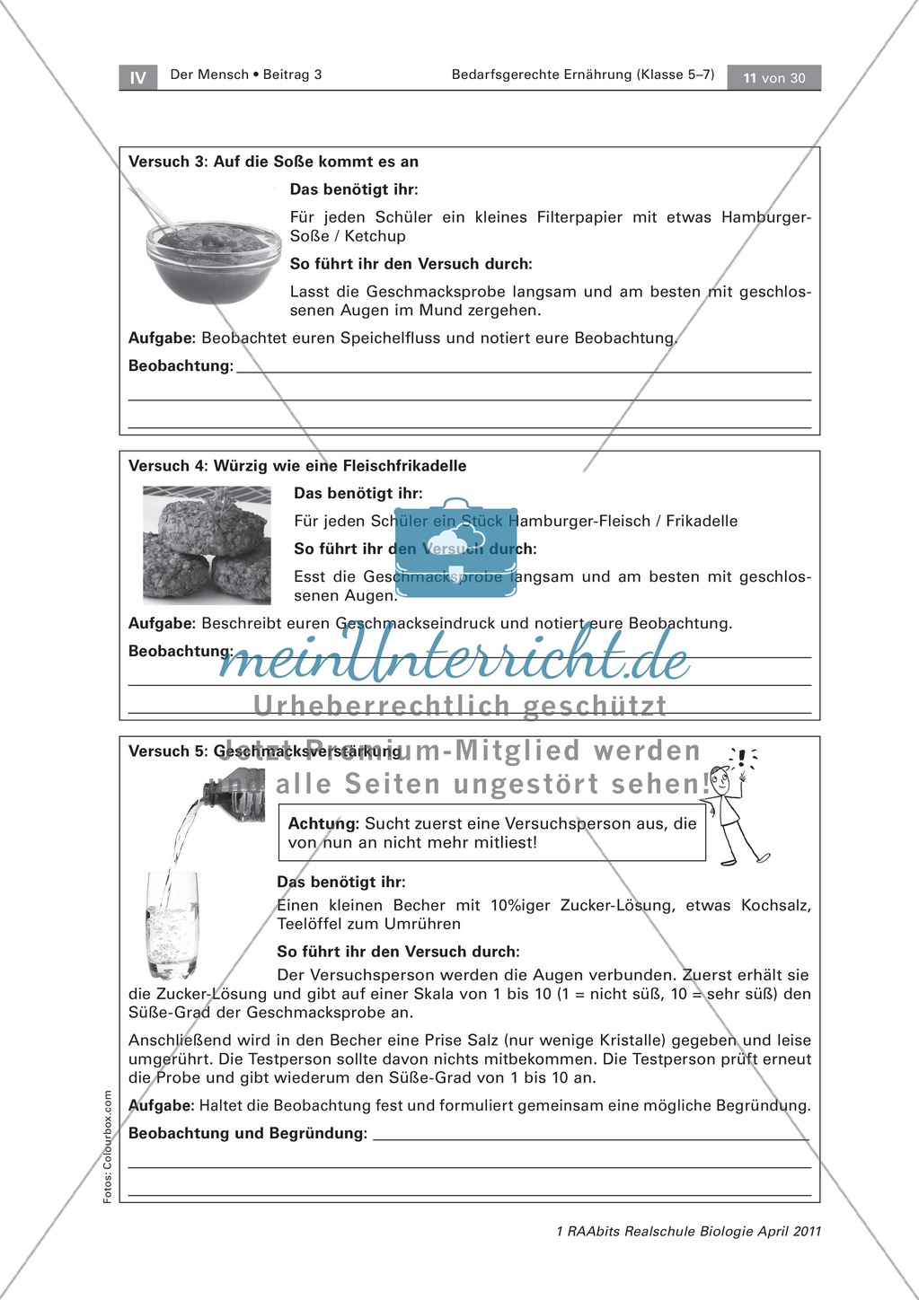 Beeinflussung der Ernährung durch den Geschmack: Geschmackstest Hamburger, Text Preview 3