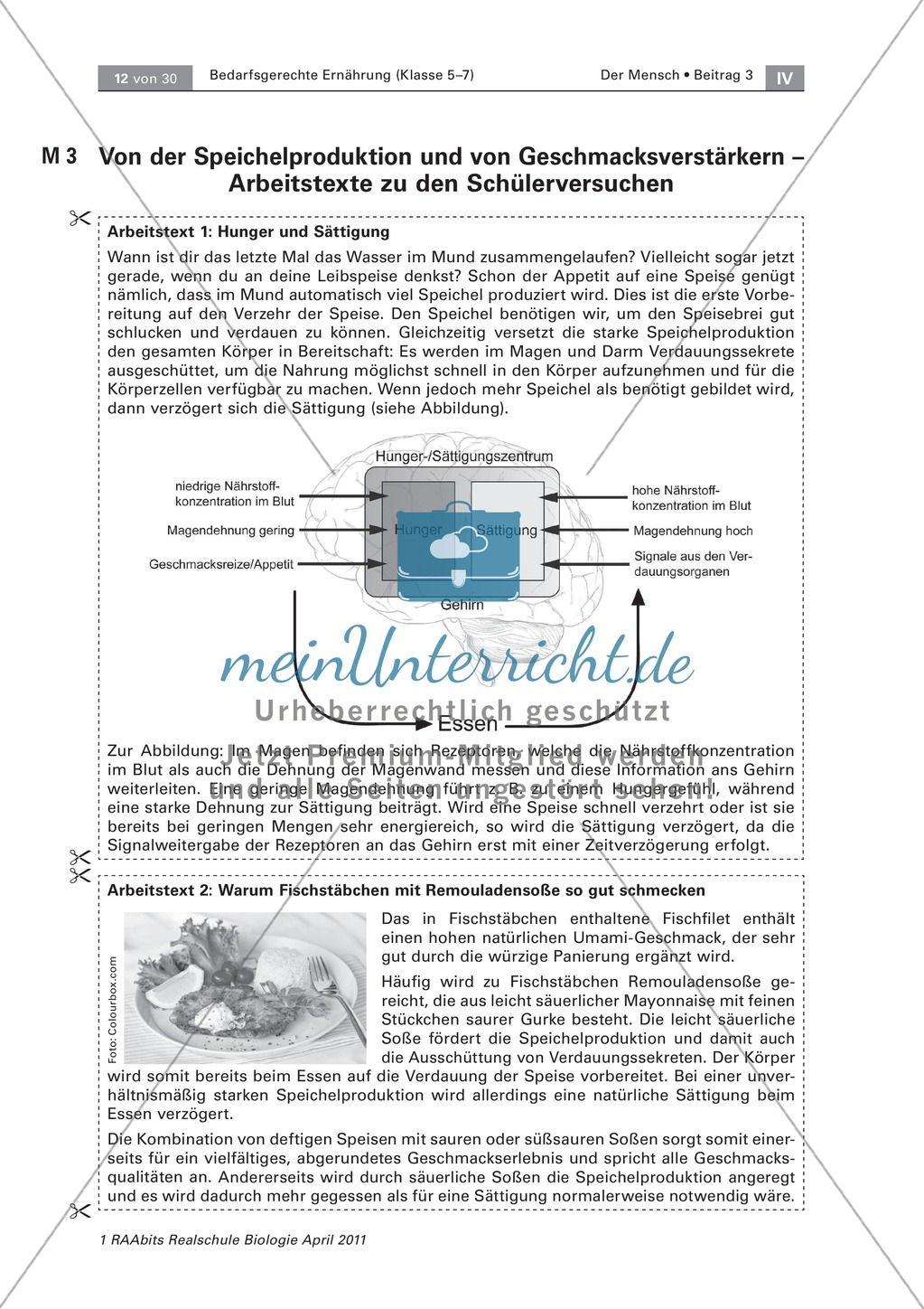 Beeinflussung der Ernährung durch den Geschmack: Geschmackstest Hamburger, Text Preview 4