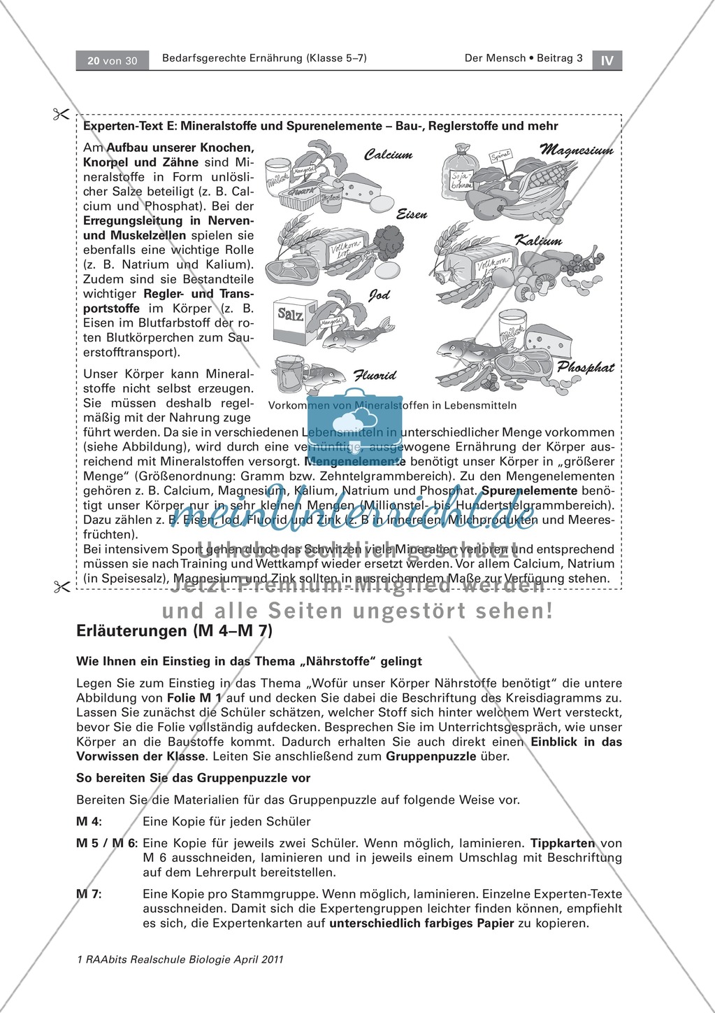 Gruppenpuzzle: Wofür braucht der Körper Nährstoffe. Sportlerernährung. Texte Preview 6
