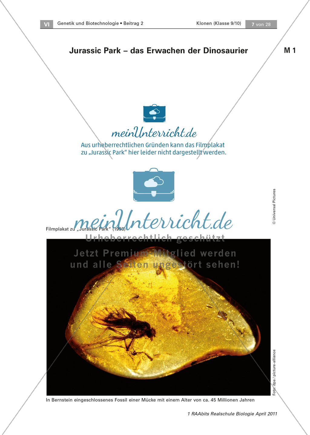 Problemorientierter Einstieg zum Thema Klonen: Farbfolie Preview 1