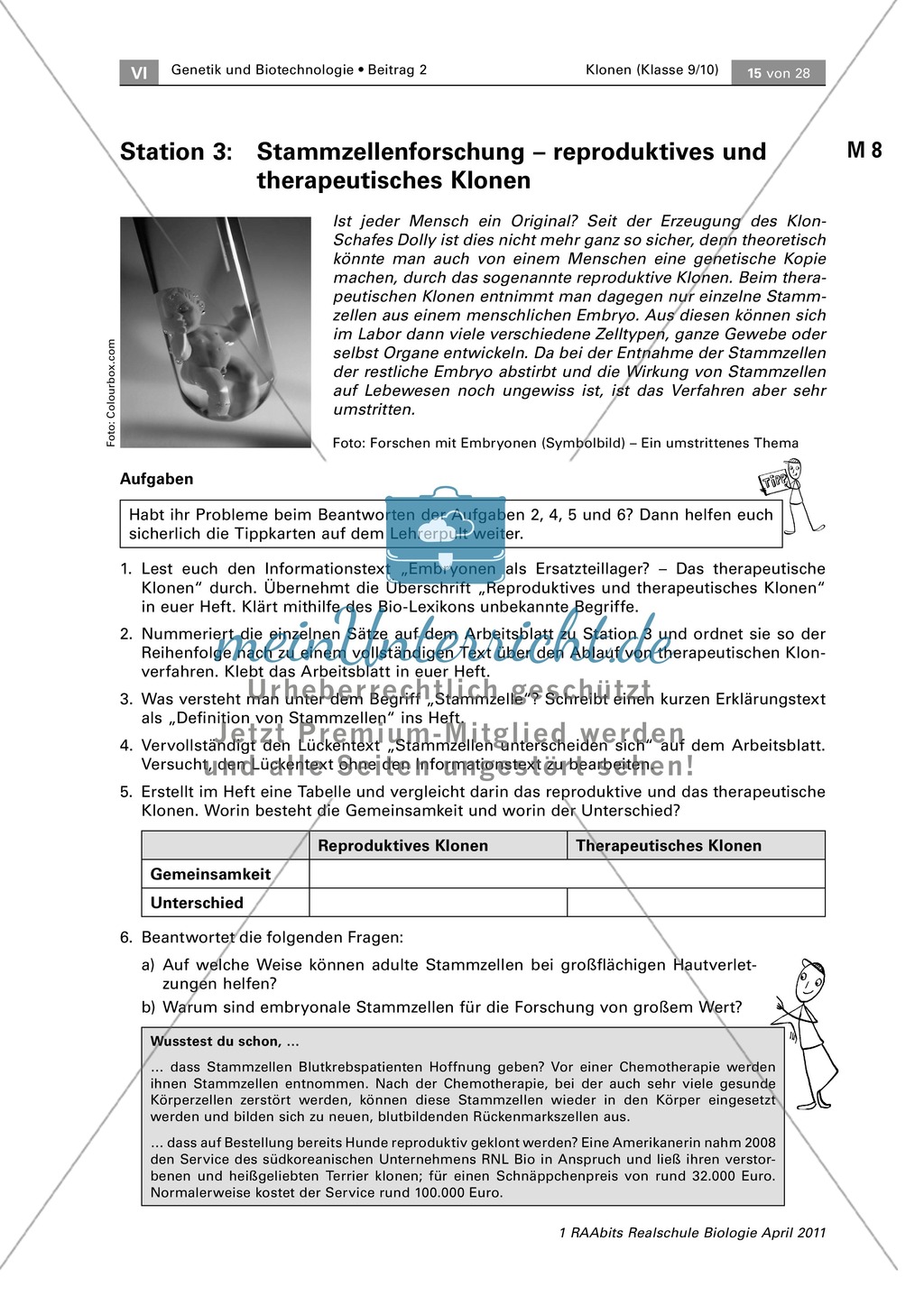Stammzellenforschung am Beispiel von reproduktivem und therapeutischem Klonen Preview 1