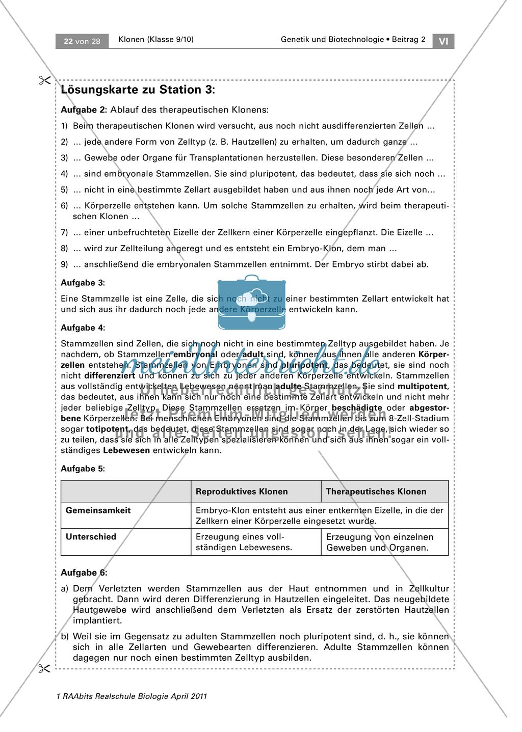 Stammzellenforschung am Beispiel von reproduktivem und therapeutischem Klonen Preview 5