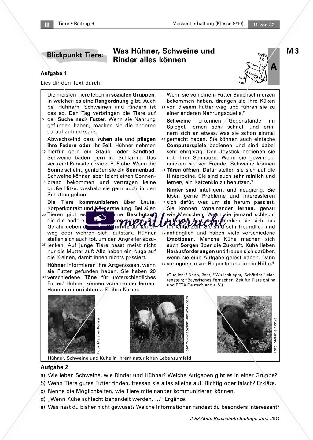 Themenbereich 1: Tiere Preview 1