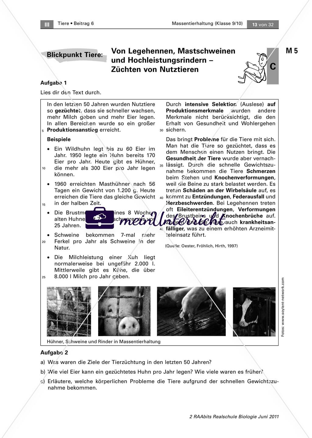 Themenbereich 1: Tiere Preview 3